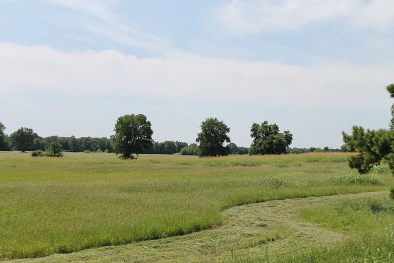McCoy Creek Ranch Tract 2 photo 2