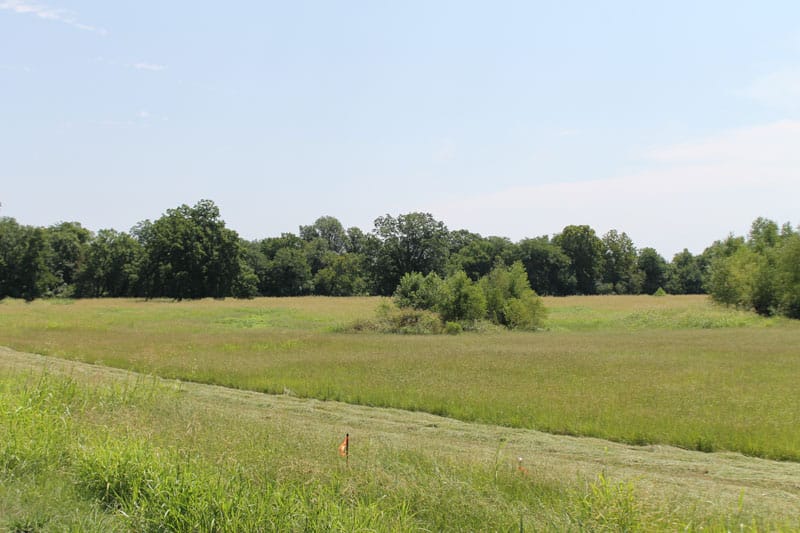 McCoy Creek Ranch Tract 2 photo 3