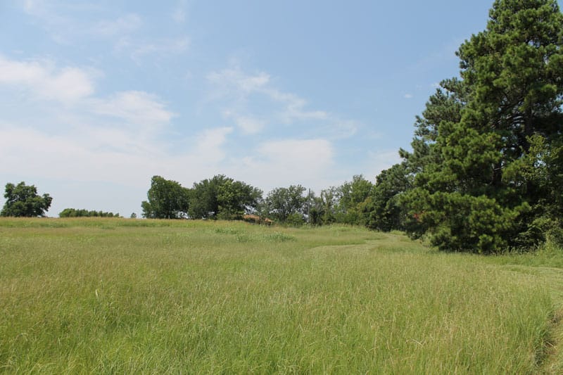 McCoy Creek Ranch Tract 2 photo 4