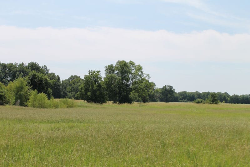 McCoy Creek Ranch Tract 2 photo 6