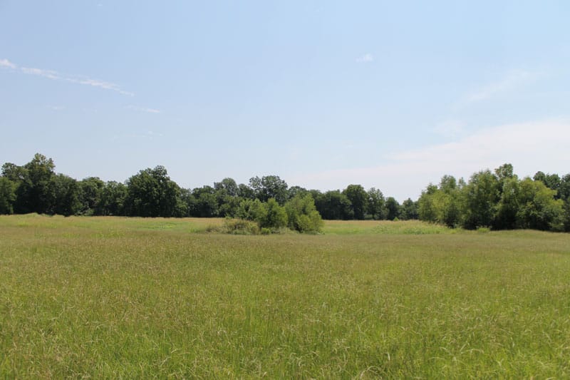 McCoy Creek Ranch Tract 2 photo 7