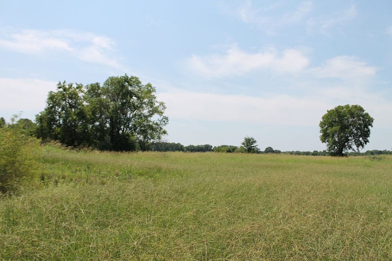 McCoy Creek Ranch Tract 2 photo 8