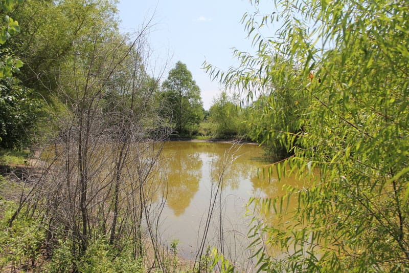 McCoy Creek Ranch Tract 2 photo 9