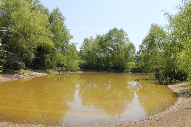 McCoy Creek Ranch Tract 2 photo 11