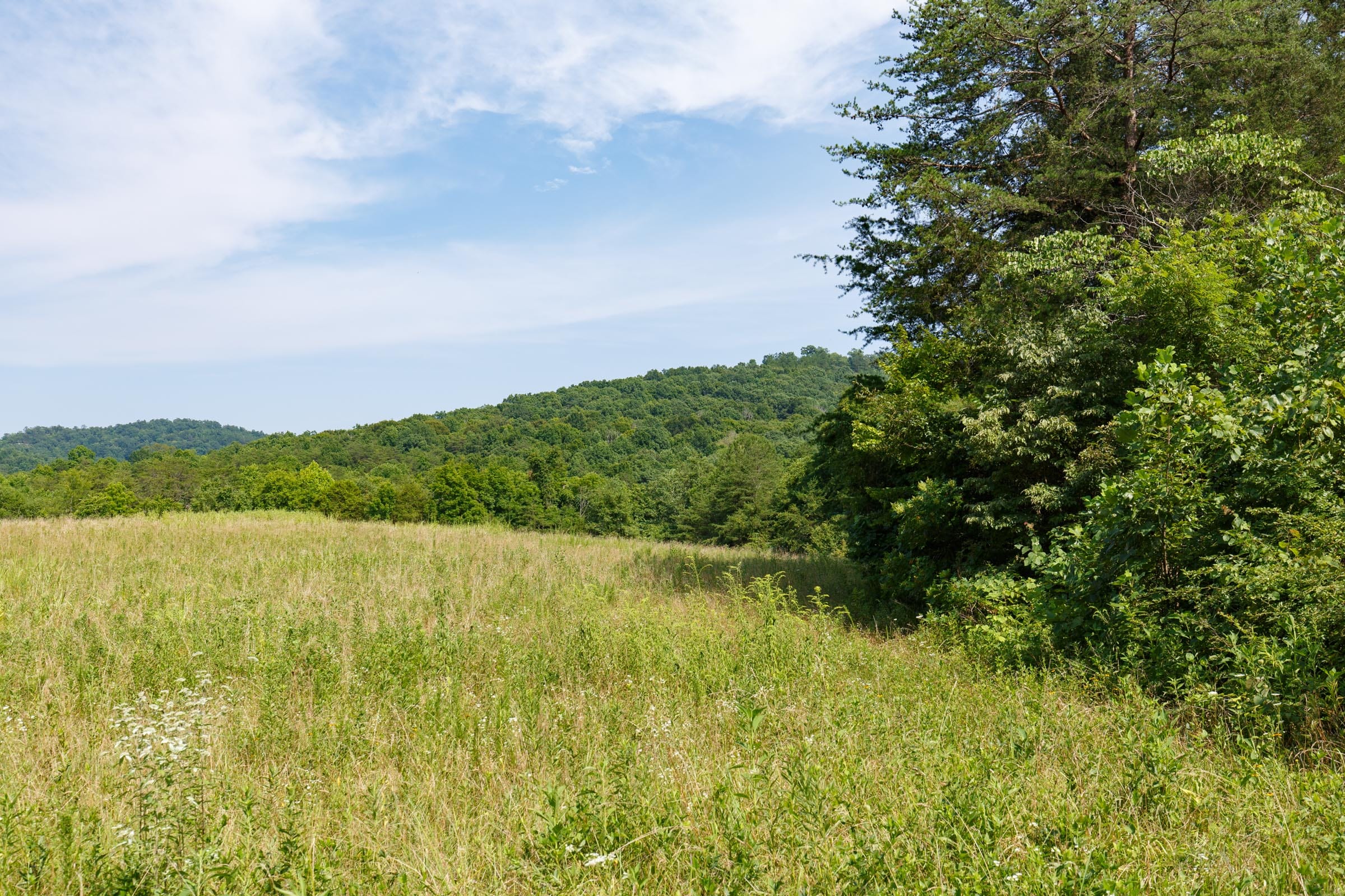 Rolling Hills Tract 30 photo 7