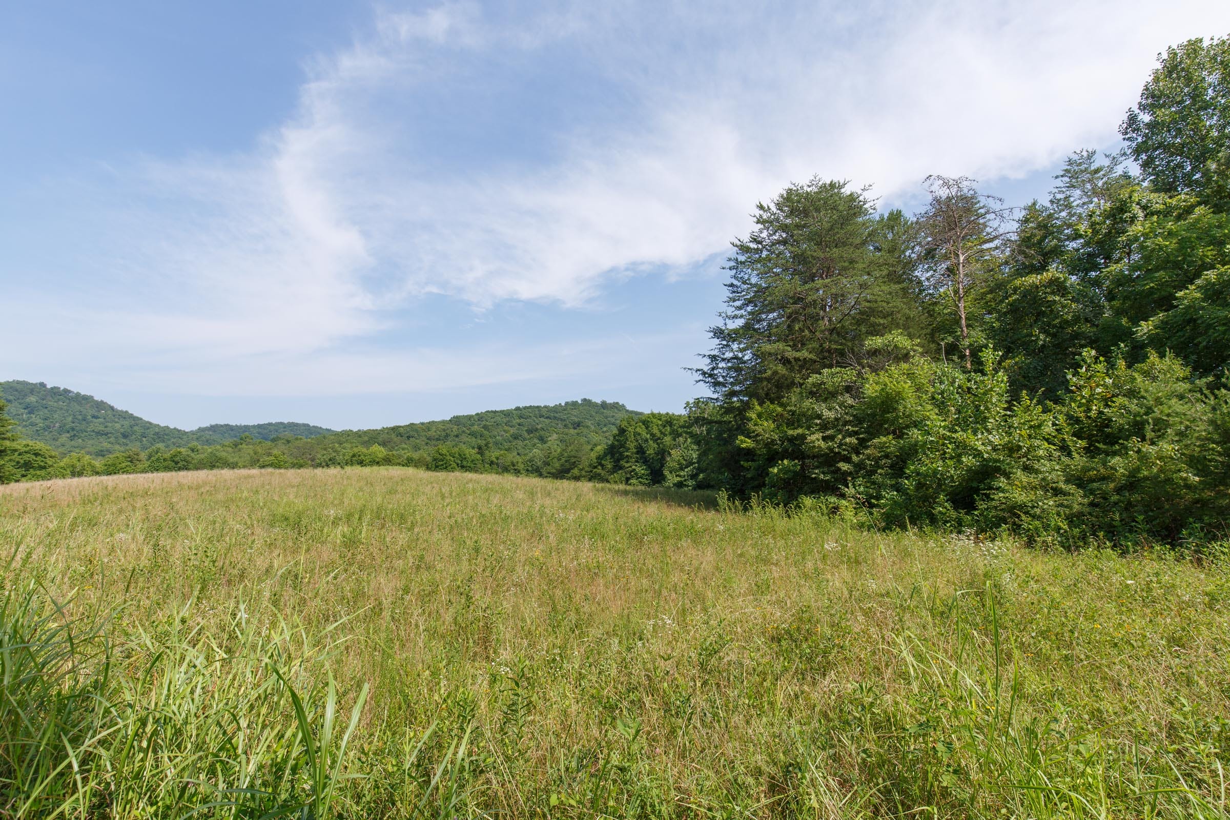 Rolling Hills Tract 30 photo 3