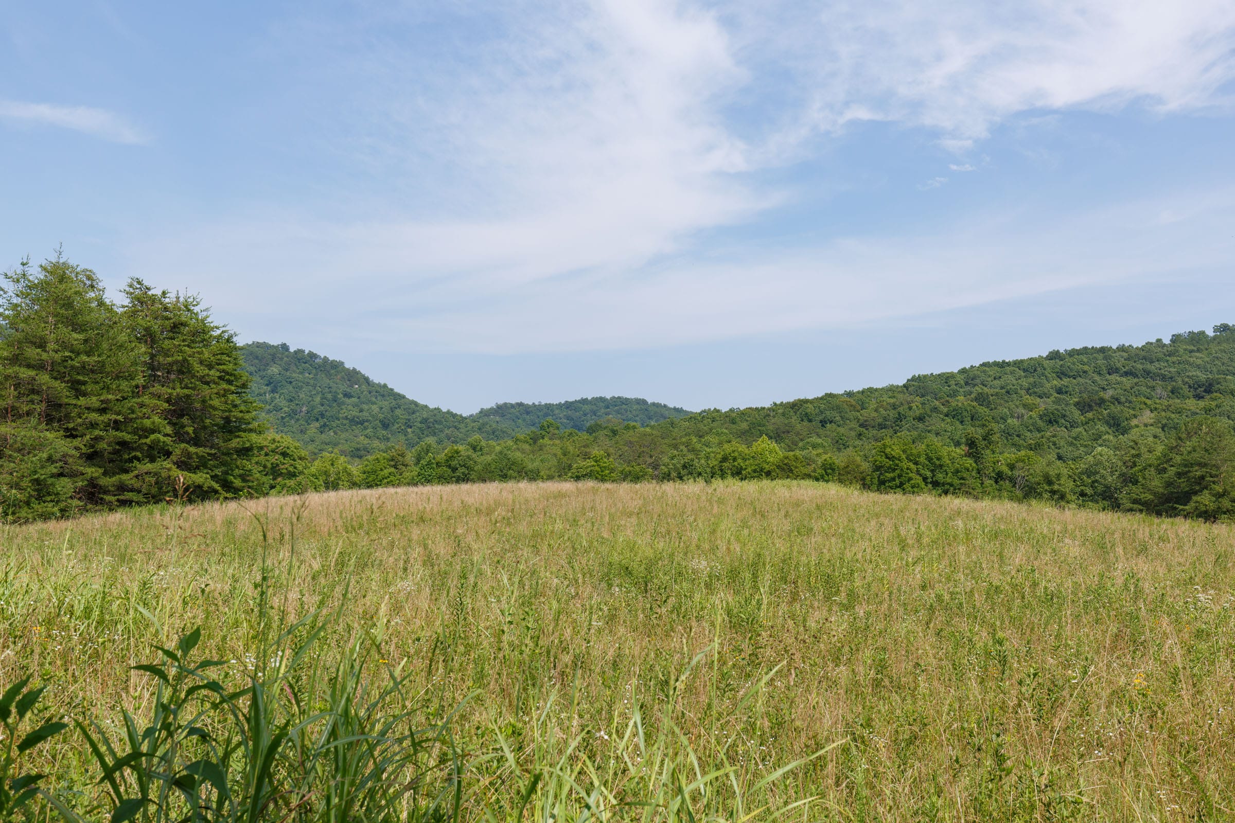 Rolling Hills Tract 30 photo 4