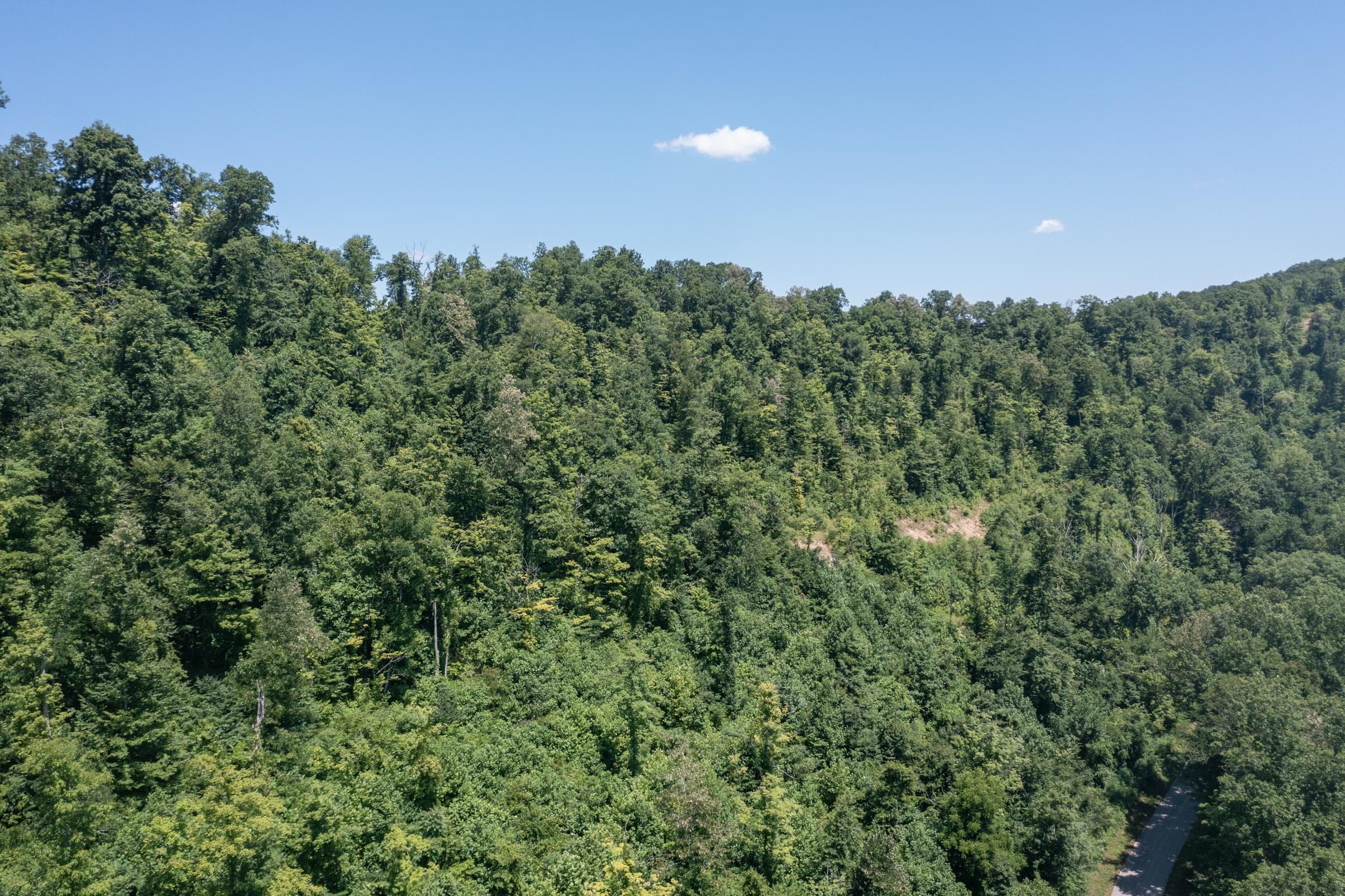 River’s Edge Tract 29 photo 3