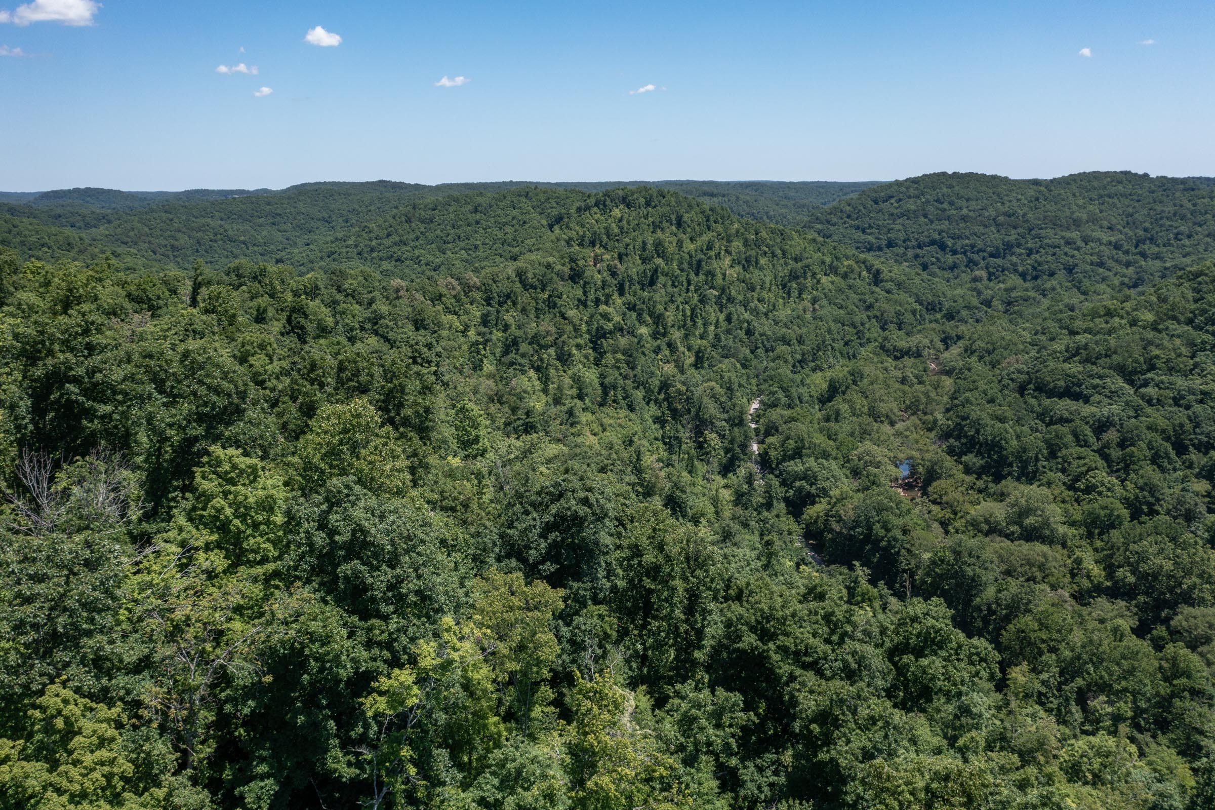 River’s Edge Tract 29 photo 7