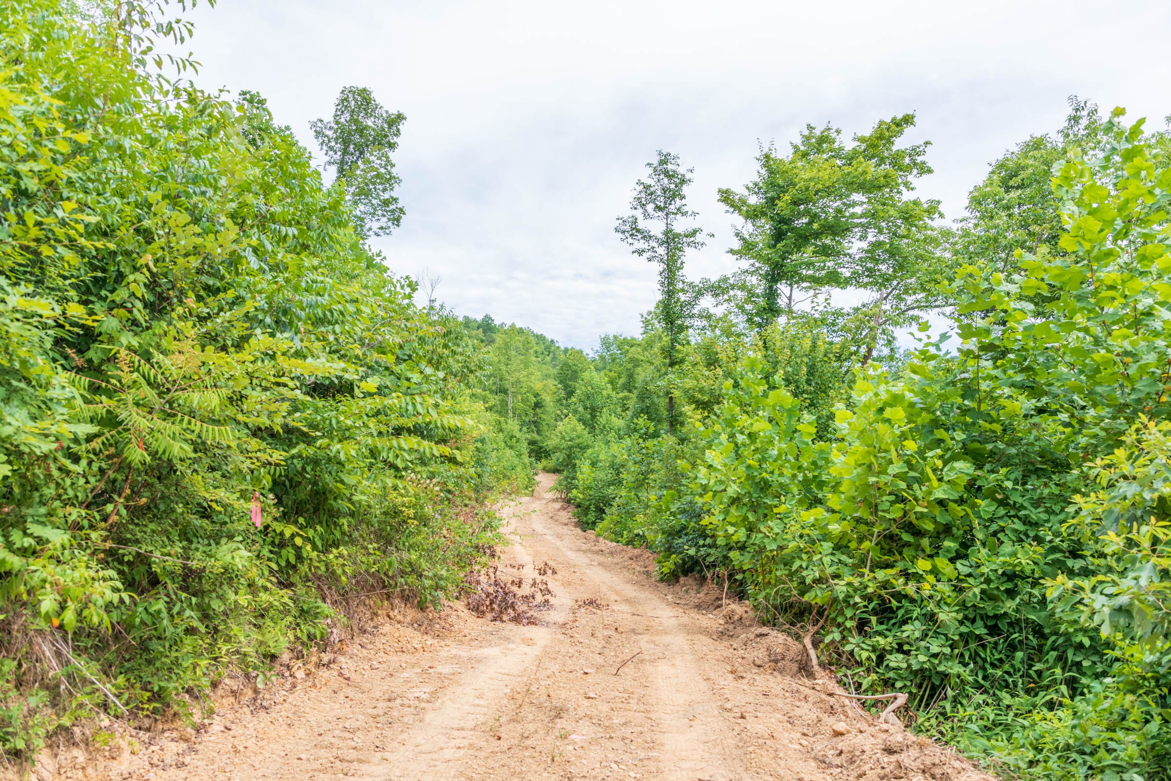 River’s Edge Tract 29 photo 1