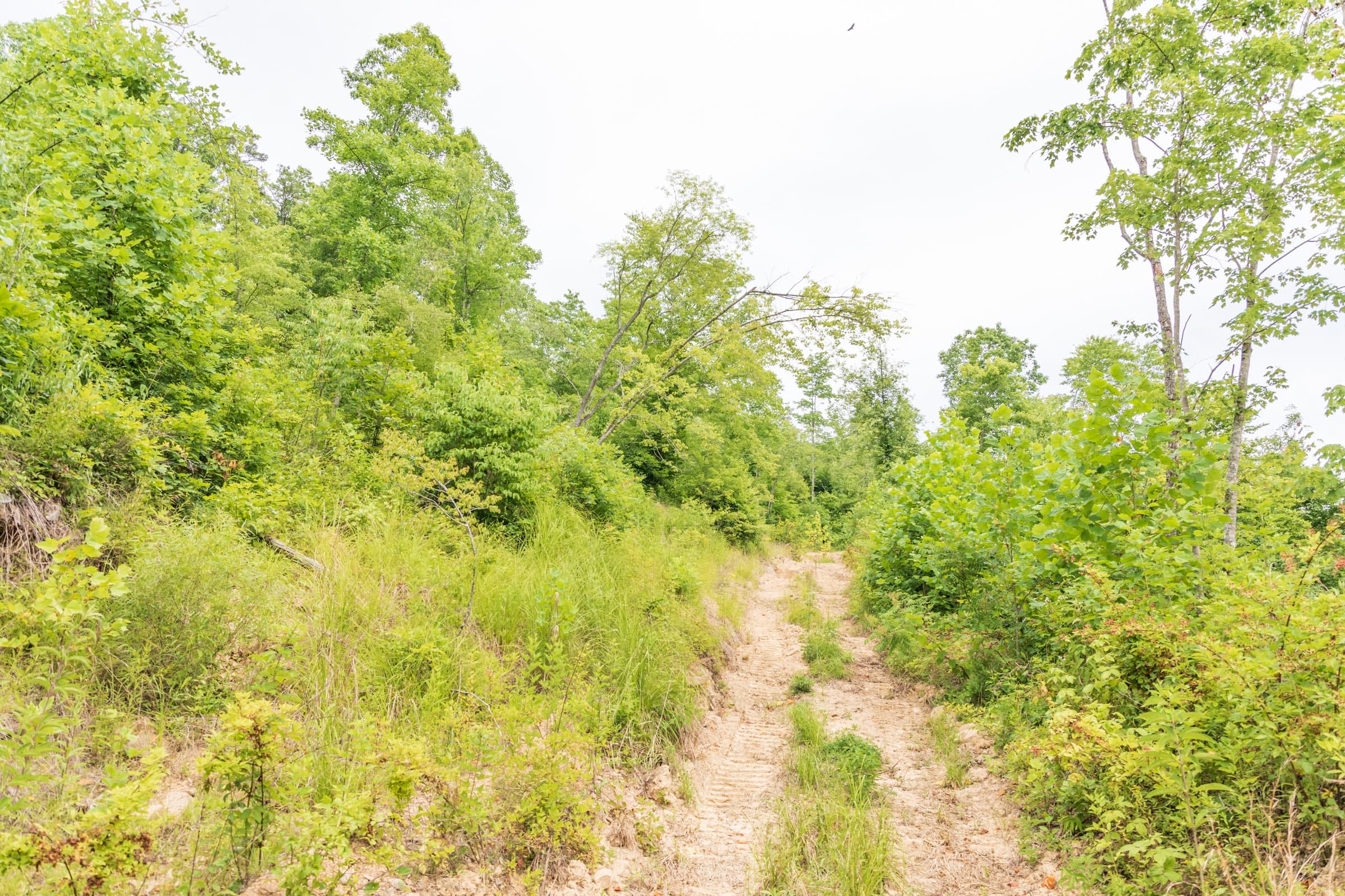 River’s Edge Tract 29 photo 8