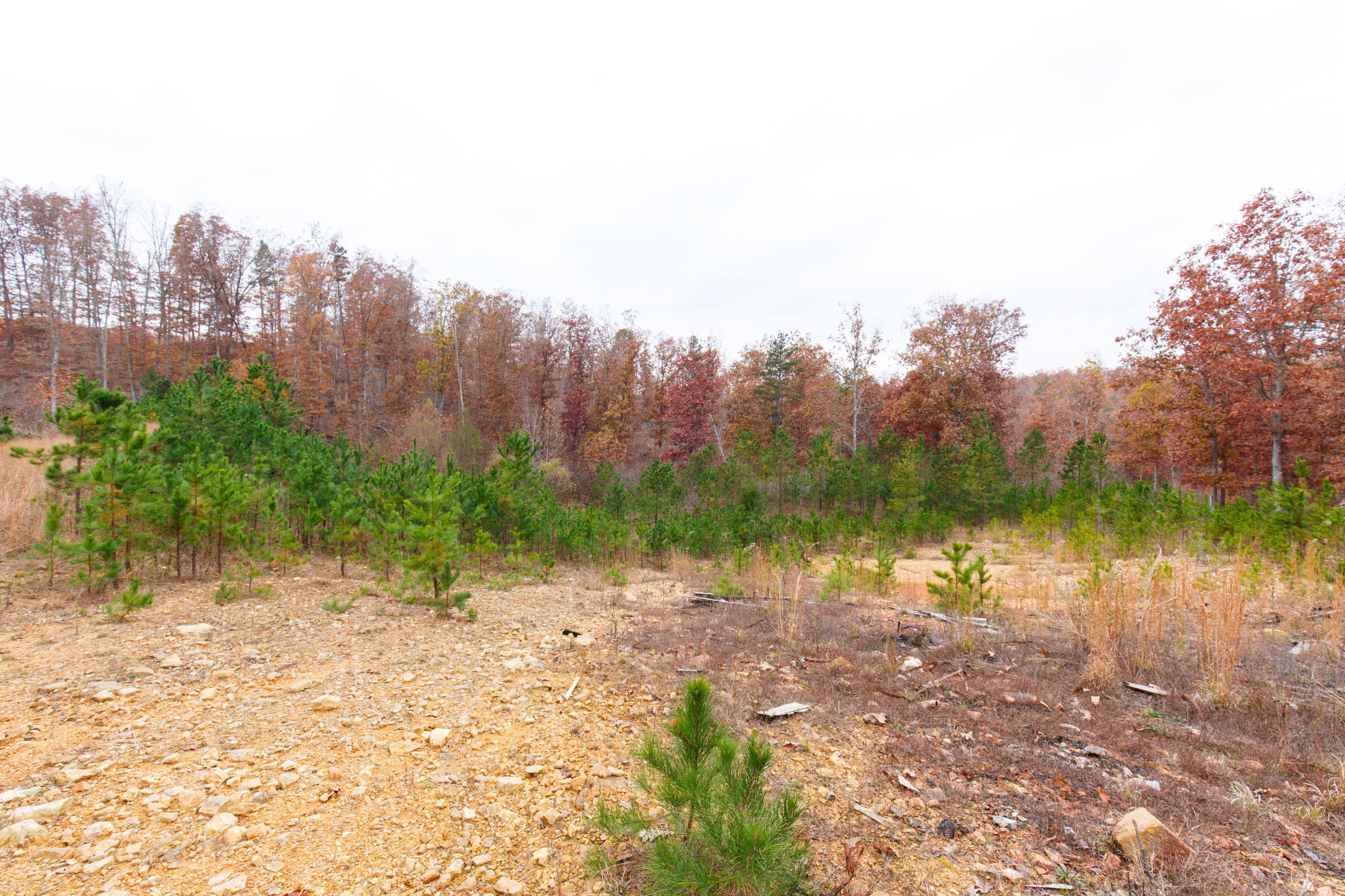 Hawkcrest Tract 24 photo 12