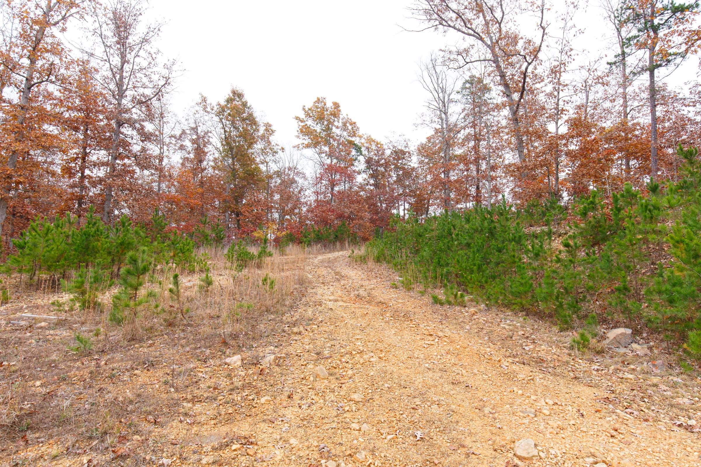 Hawkcrest Tract 24 photo 11