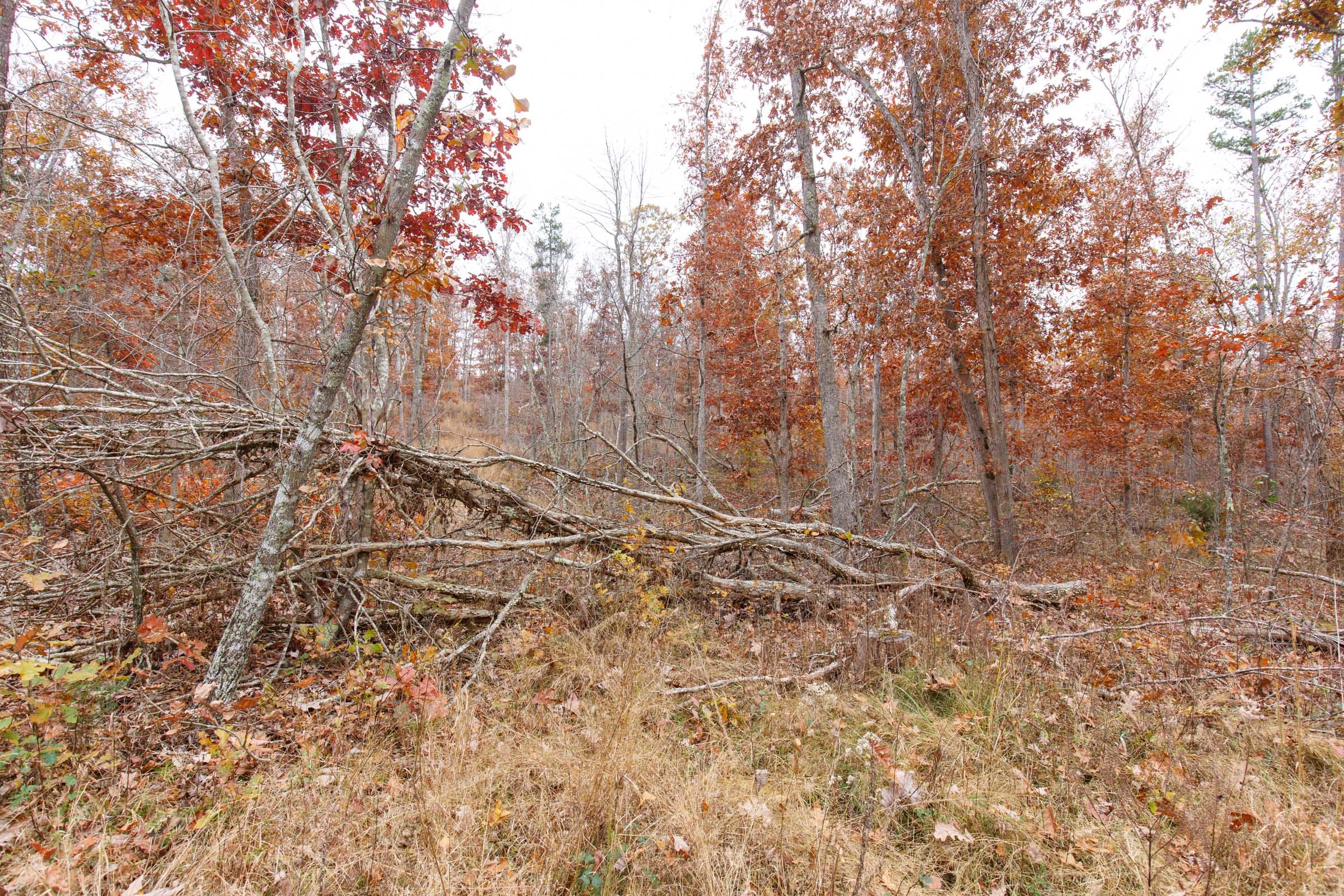Hawkcrest Tract 24 photo 13