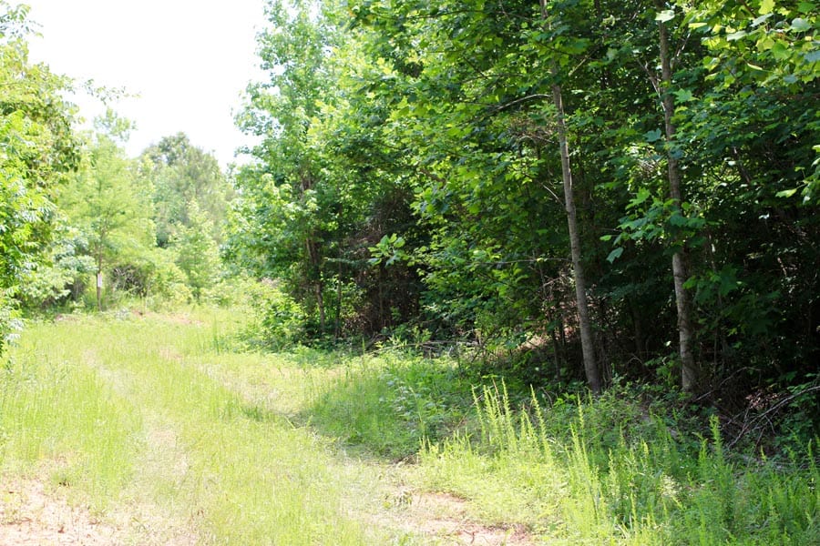 Bluebird Ranch Tract 16 photo 6