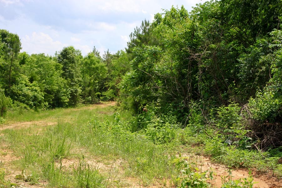 Bluebird Ranch Tract 16 photo 2