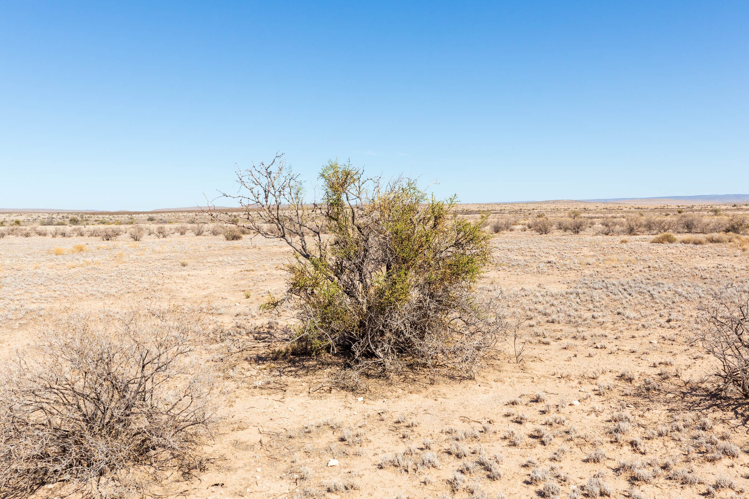 Sunrise Ranches Phase IV Tract 160 photo 15