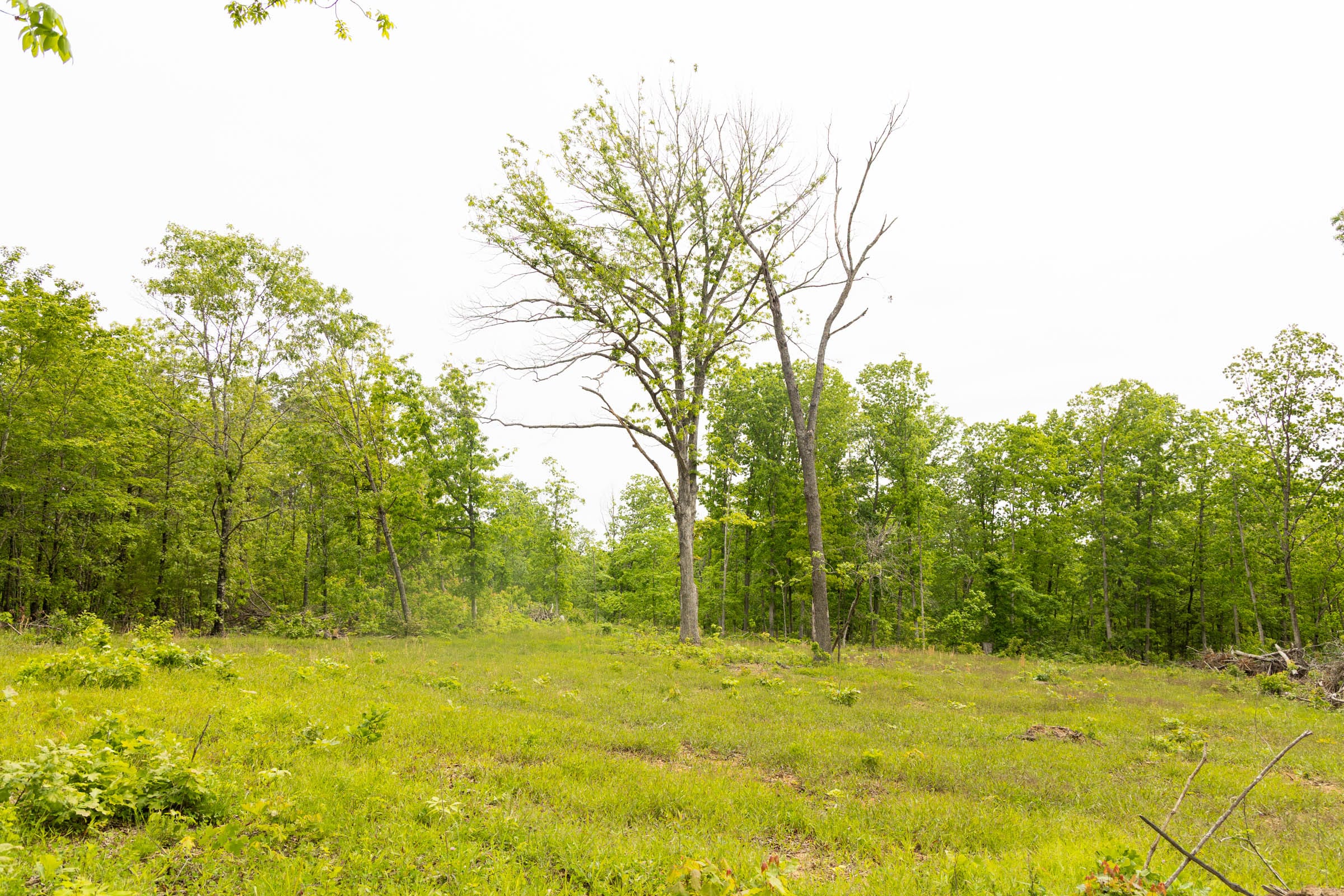 Stardust Estates Tract 24 photo 8