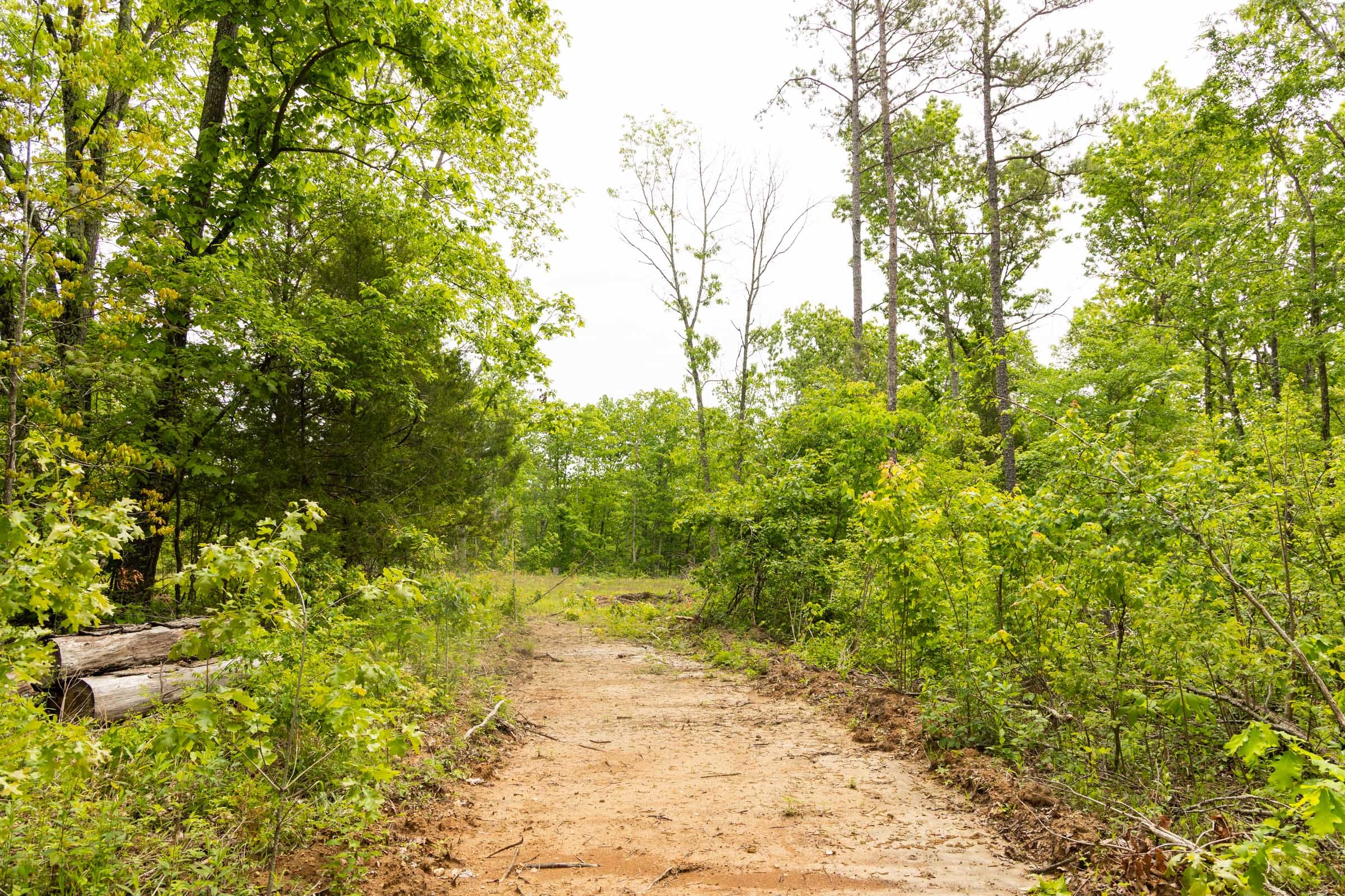 Stardust Estates Tract 24 photo 10