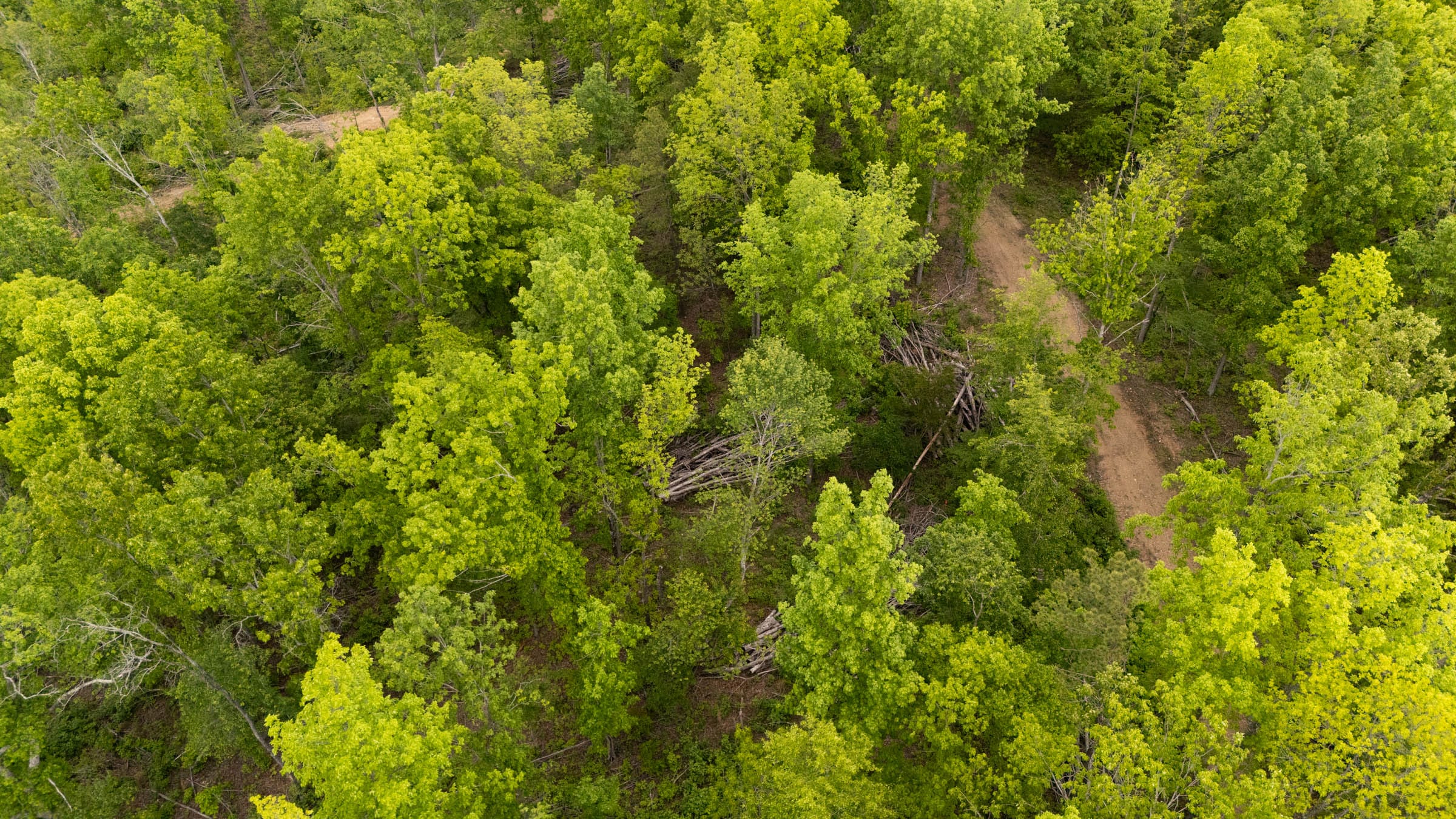 Stardust Estates Tract 24 photo 9
