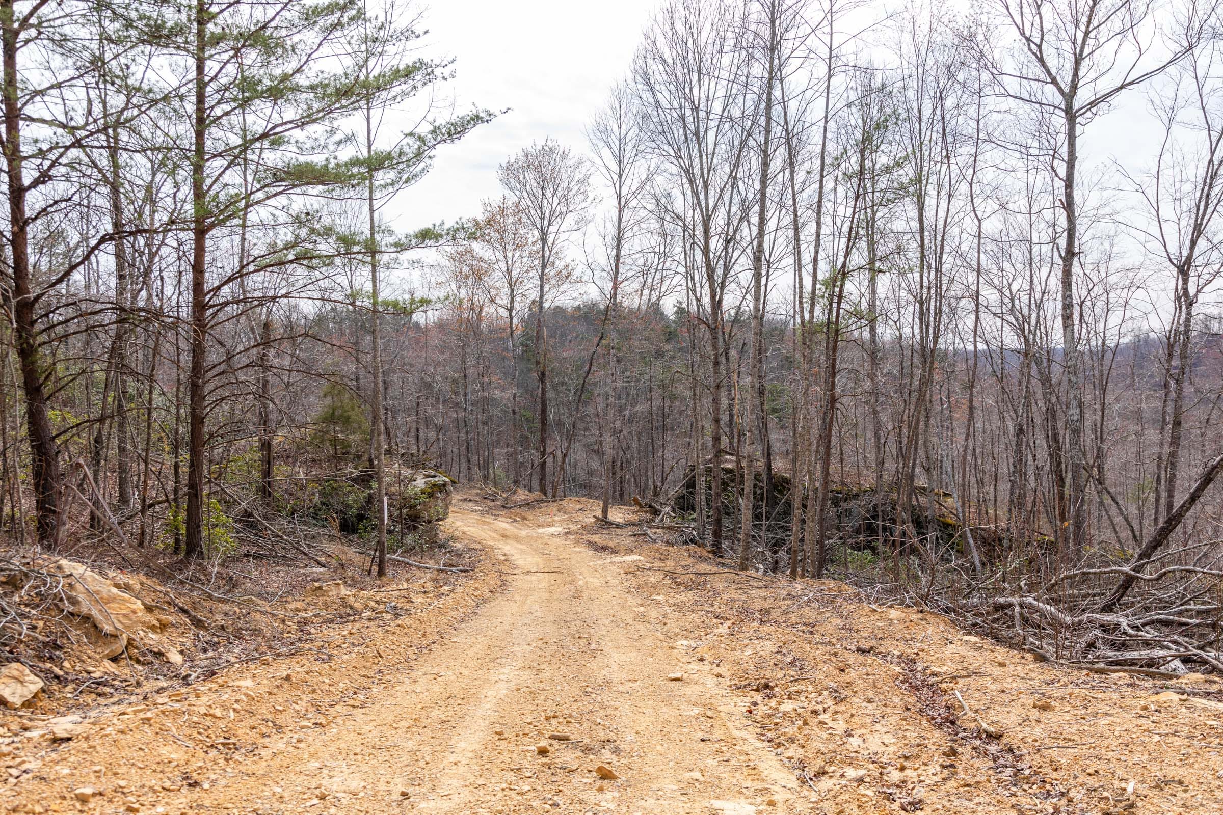 Creek Hollow Phase I Tract 27 photo 6