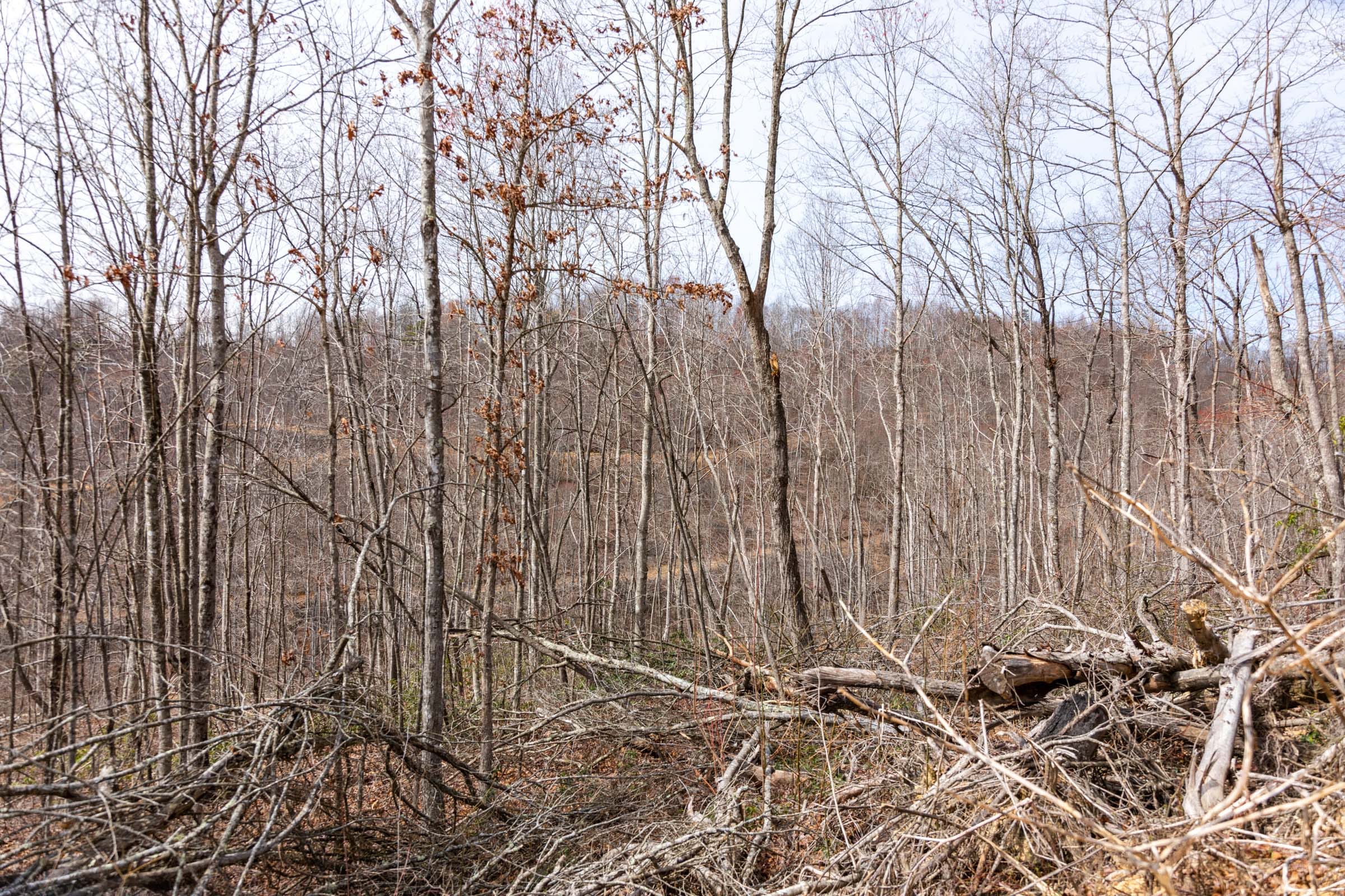 Creek Hollow Phase I Tract 27 photo 7