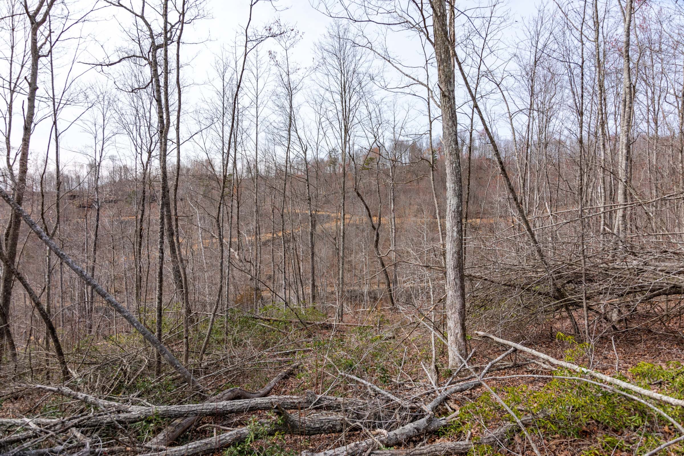 Creek Hollow Phase I Tract 27 photo 8
