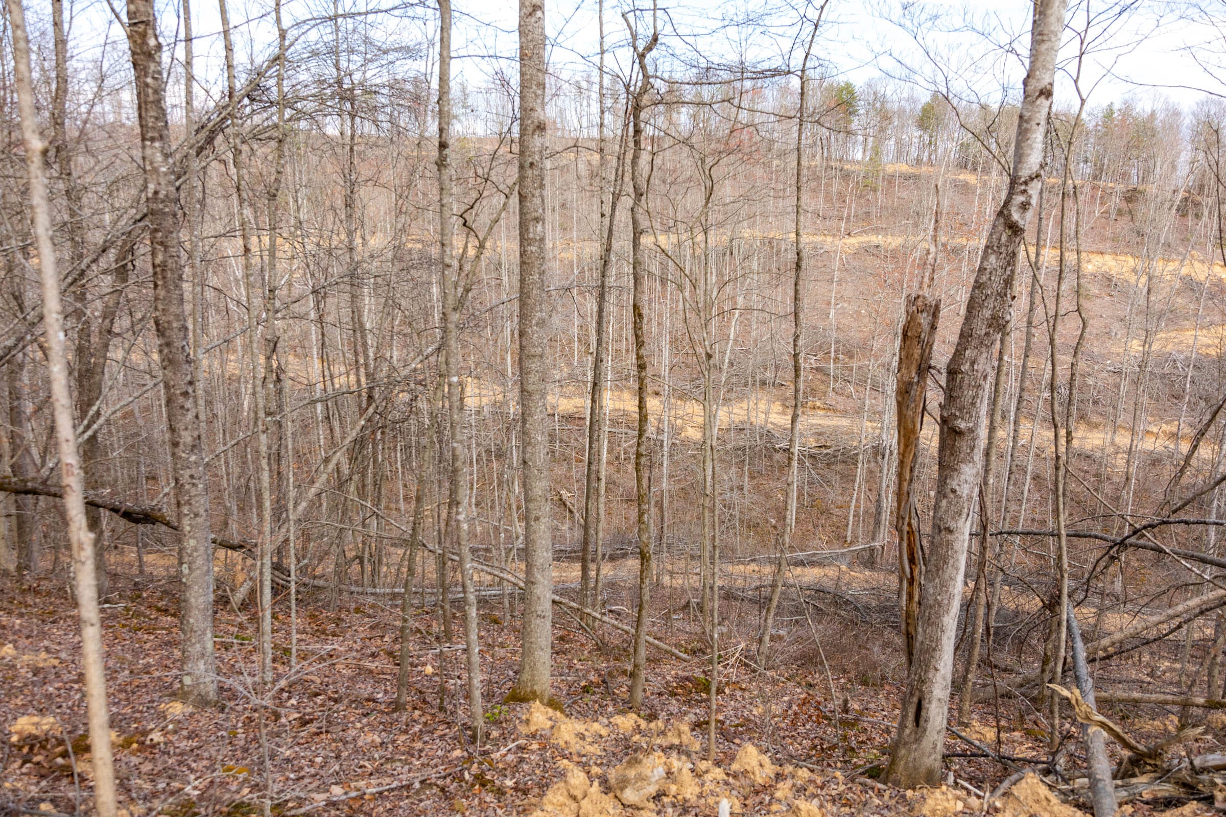 Creek Hollow Phase I Tract 27 photo 9