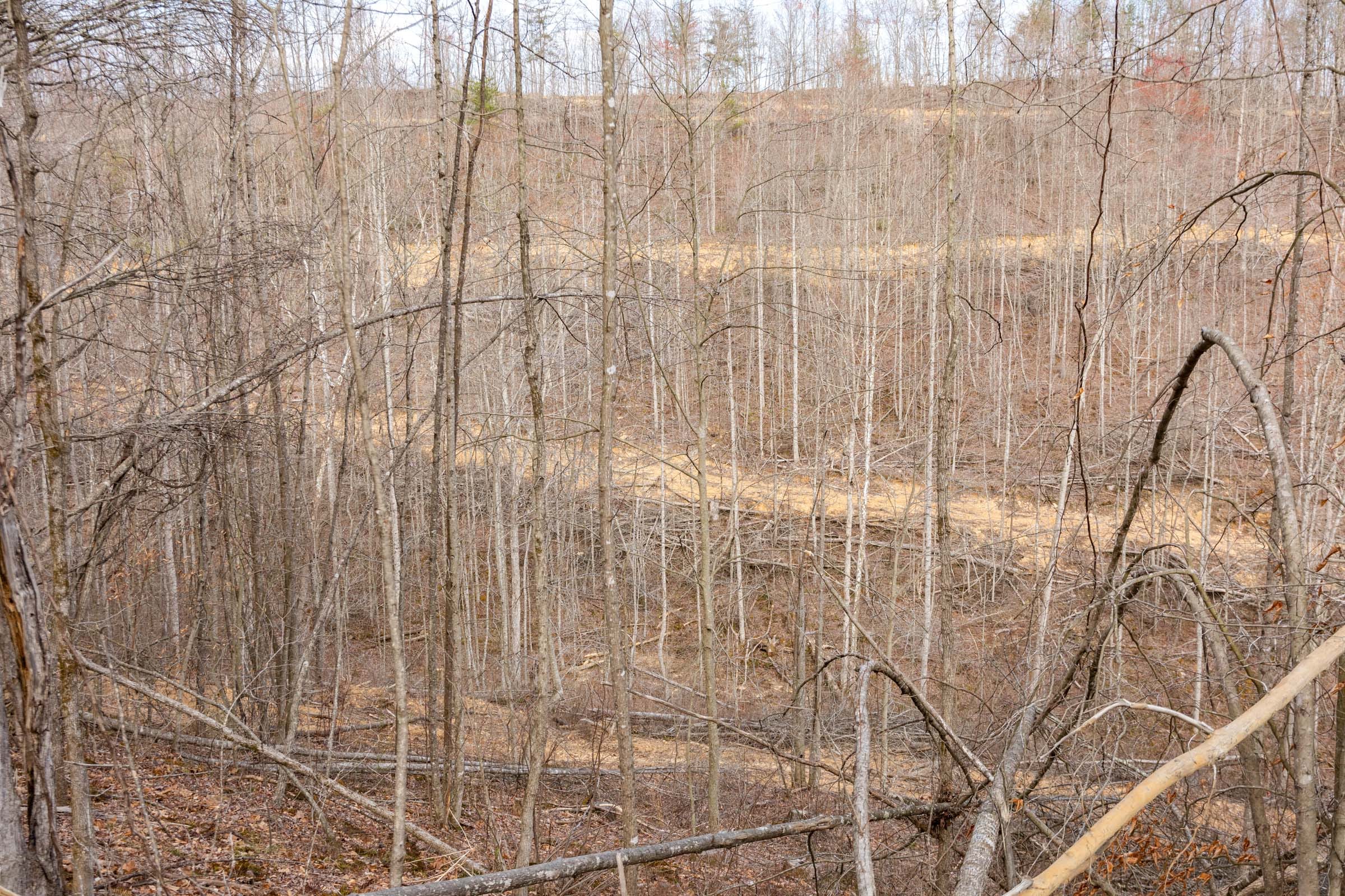Creek Hollow Phase I Tract 27 photo 12