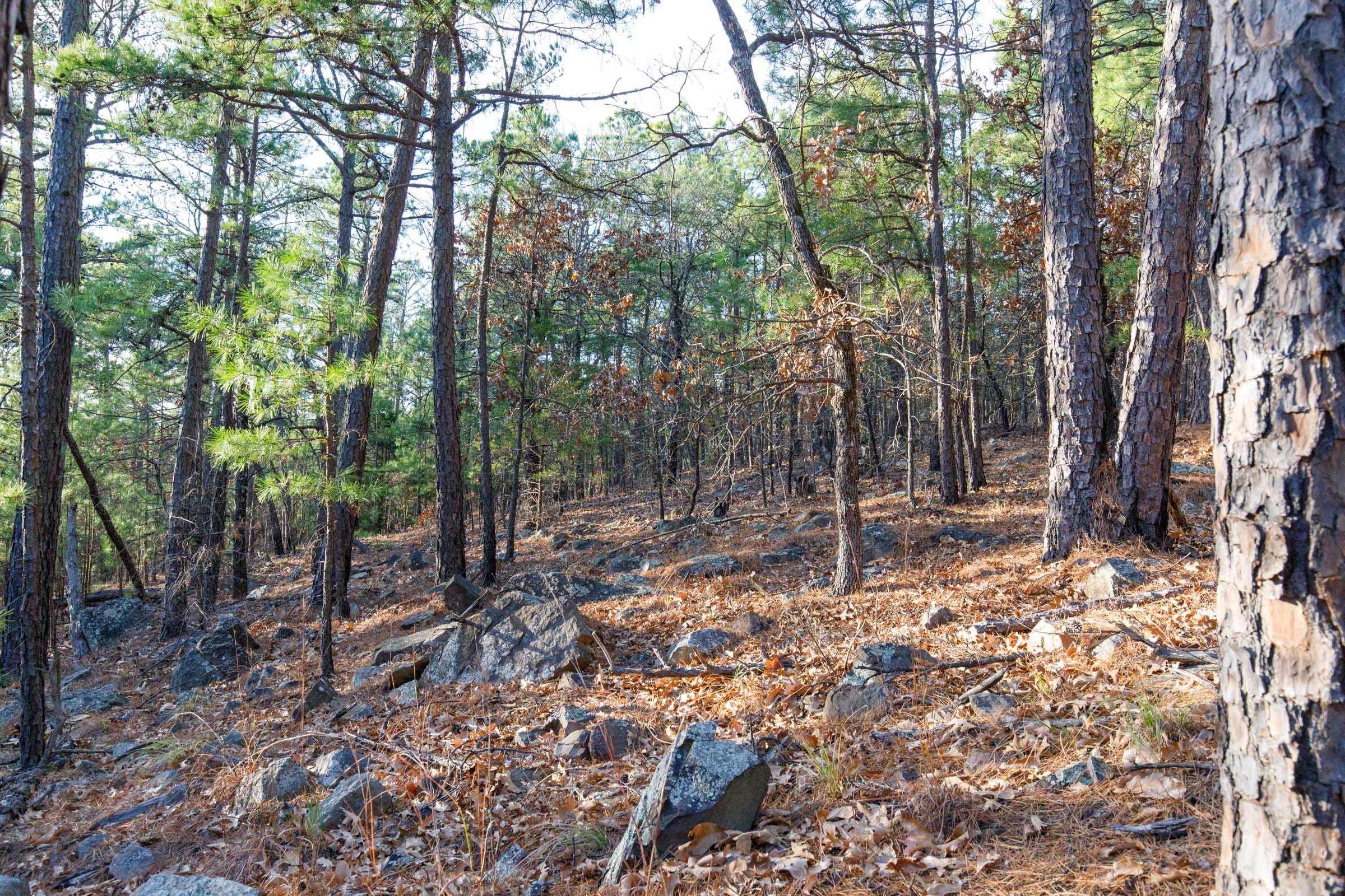 Stone Bridge Phase II Tract 115 photo 4