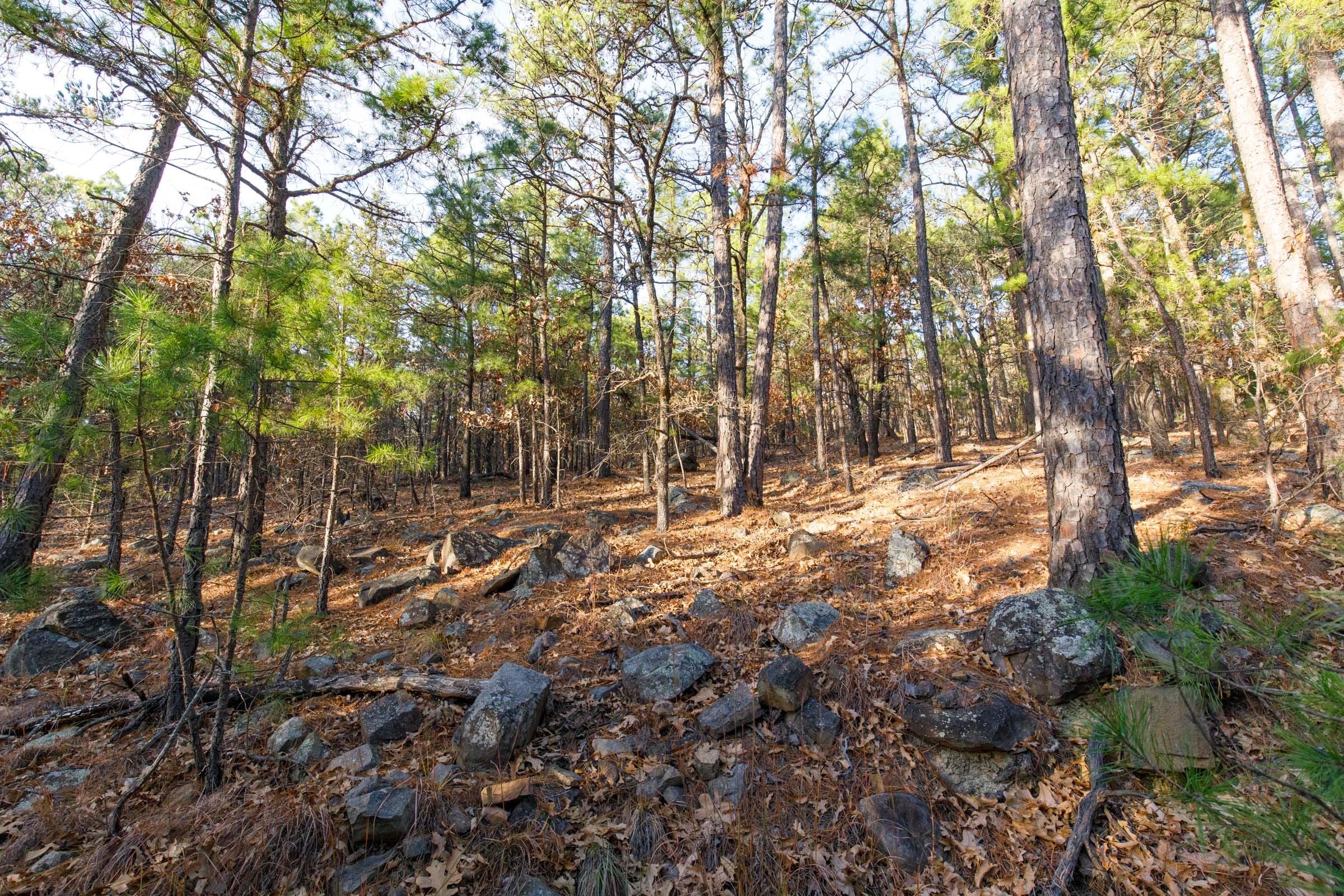 Stone Bridge Phase II Tract 115 photo 5
