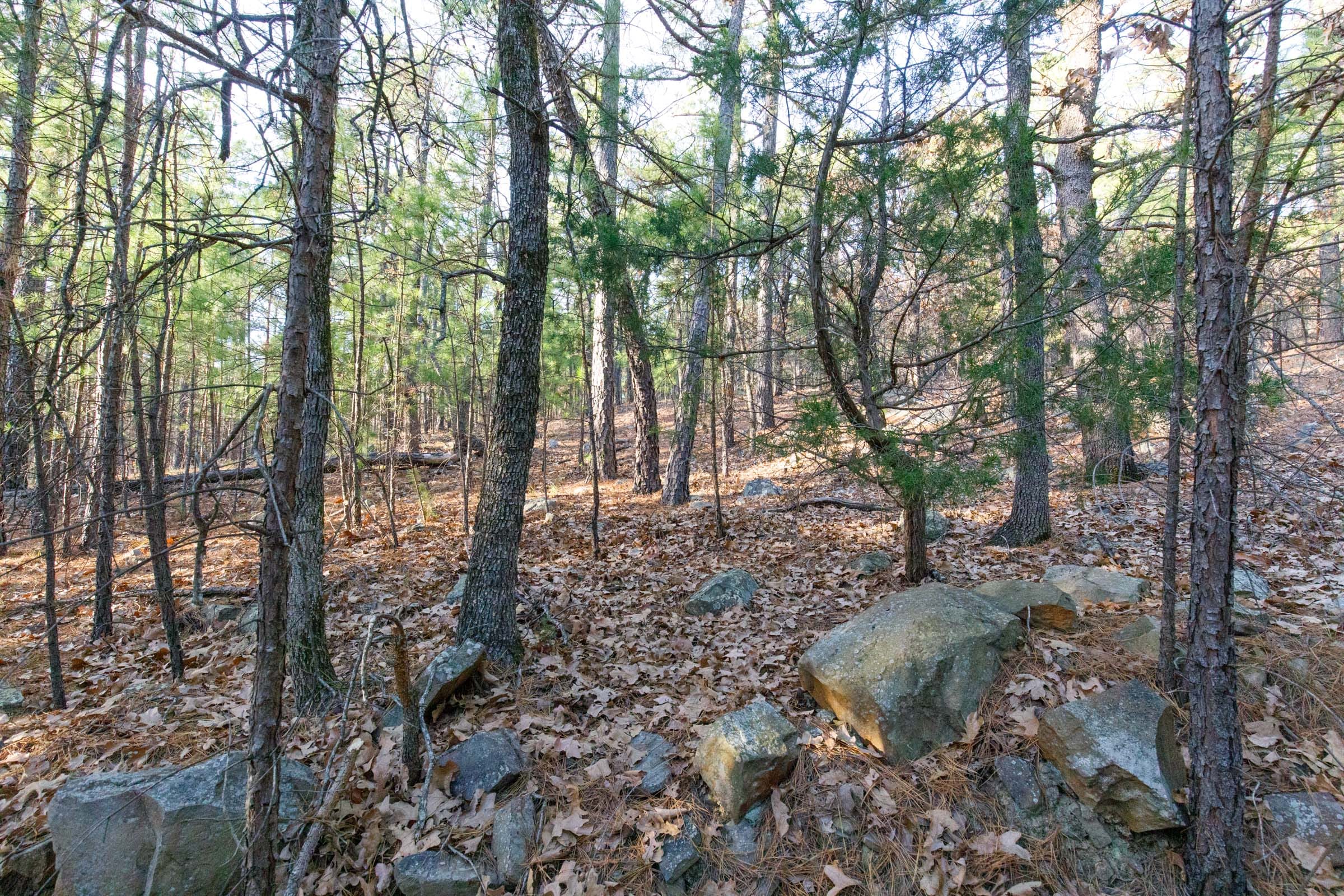 Stone Bridge Phase II Tract 115 photo 6