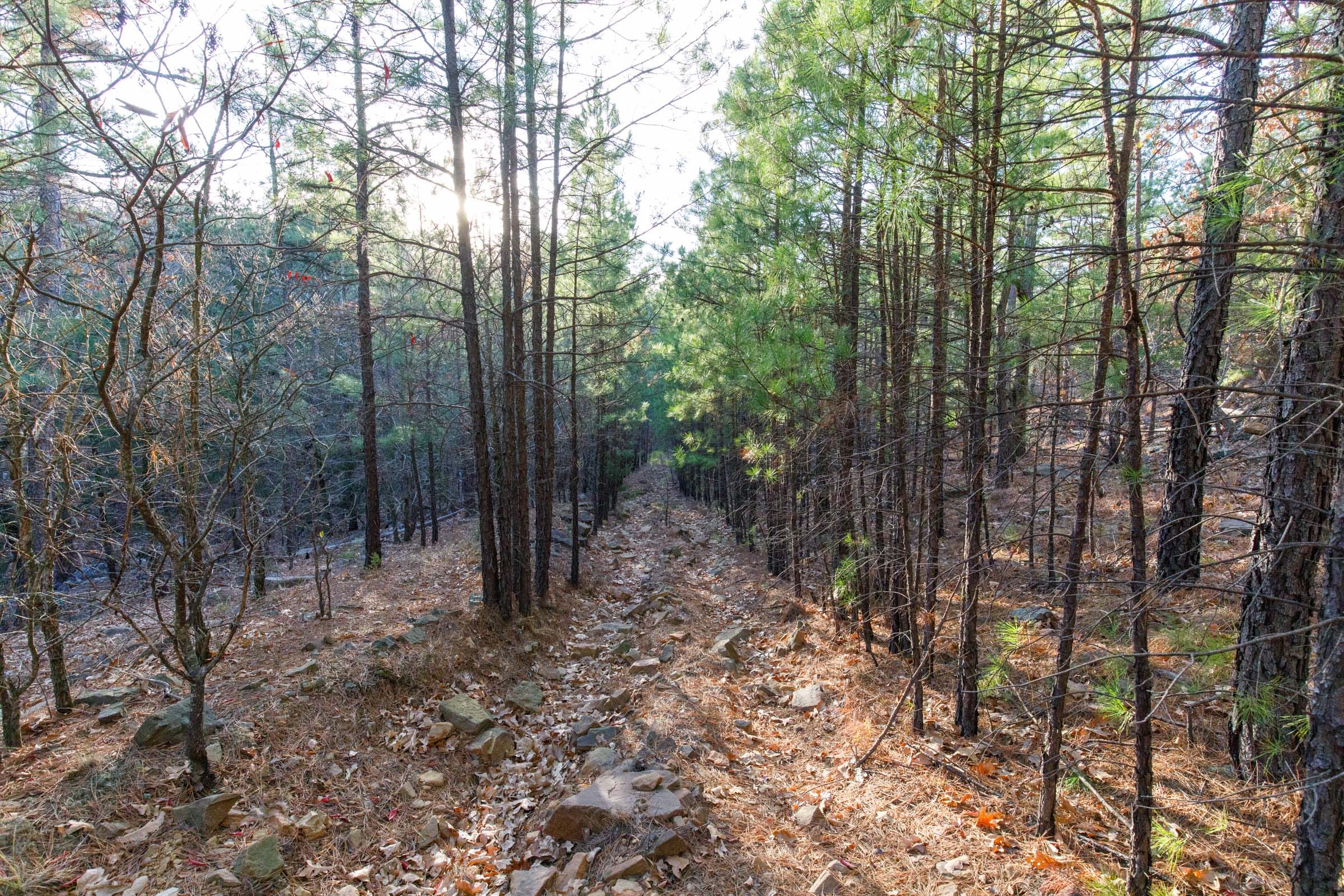 Stone Bridge Phase II Tract 115 photo 1