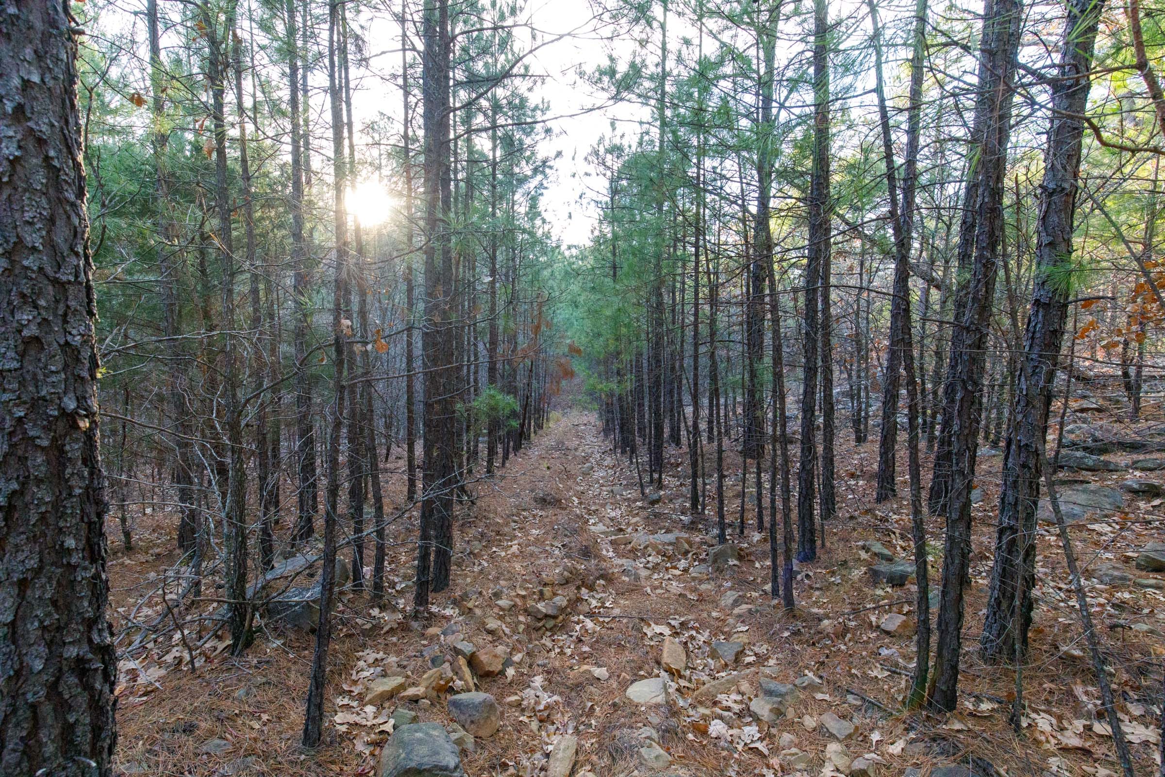 Stone Bridge Phase II Tract 115 photo 8