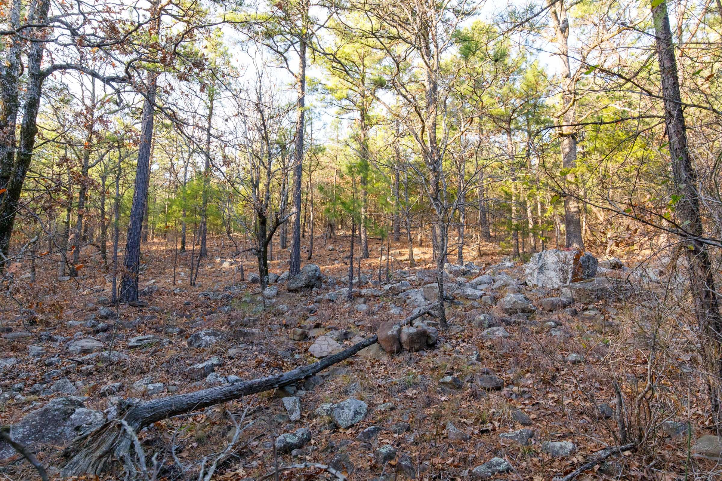 Stone Bridge Phase II Tract 115 photo 9