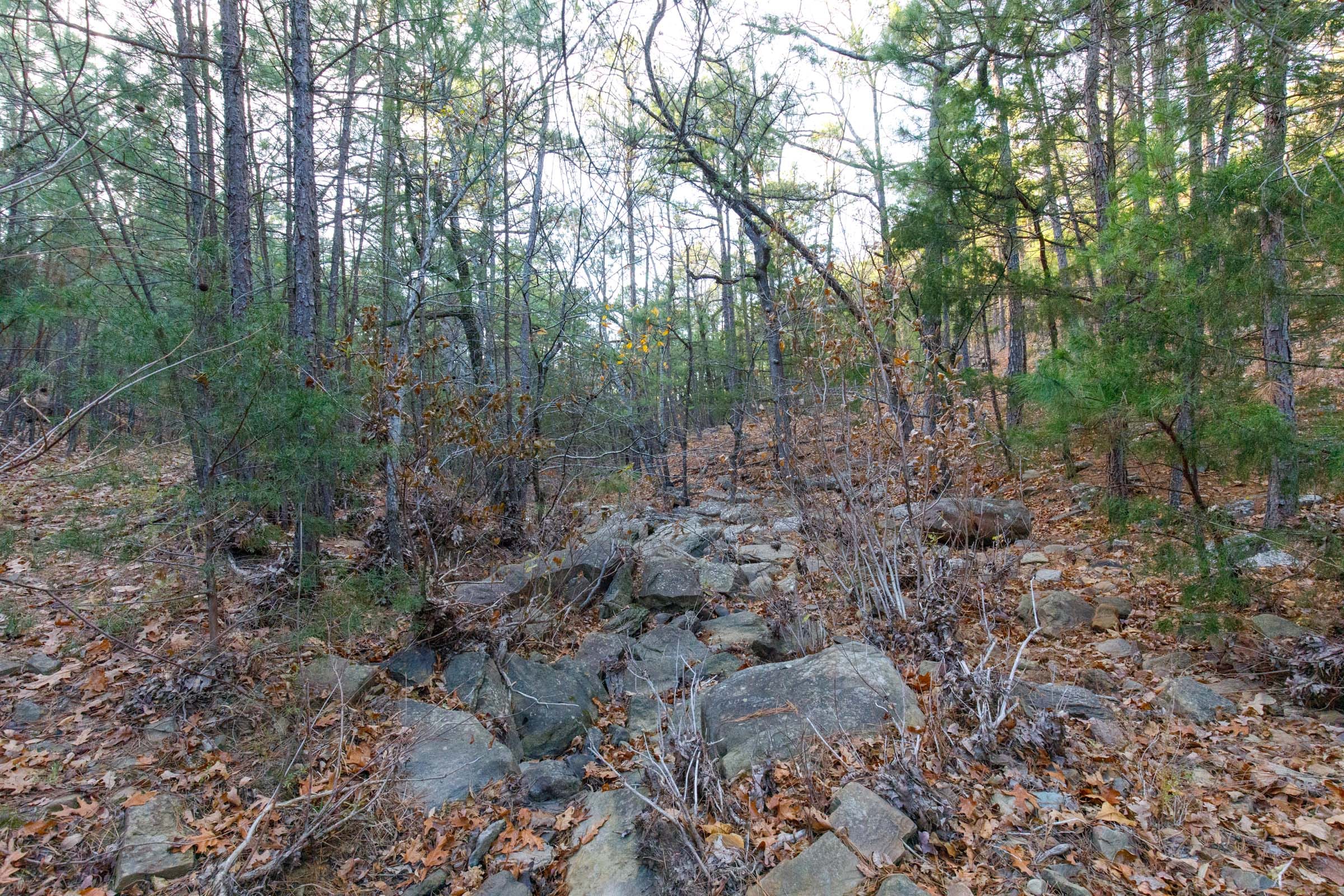 Stone Bridge Phase II Tract 115 photo 10
