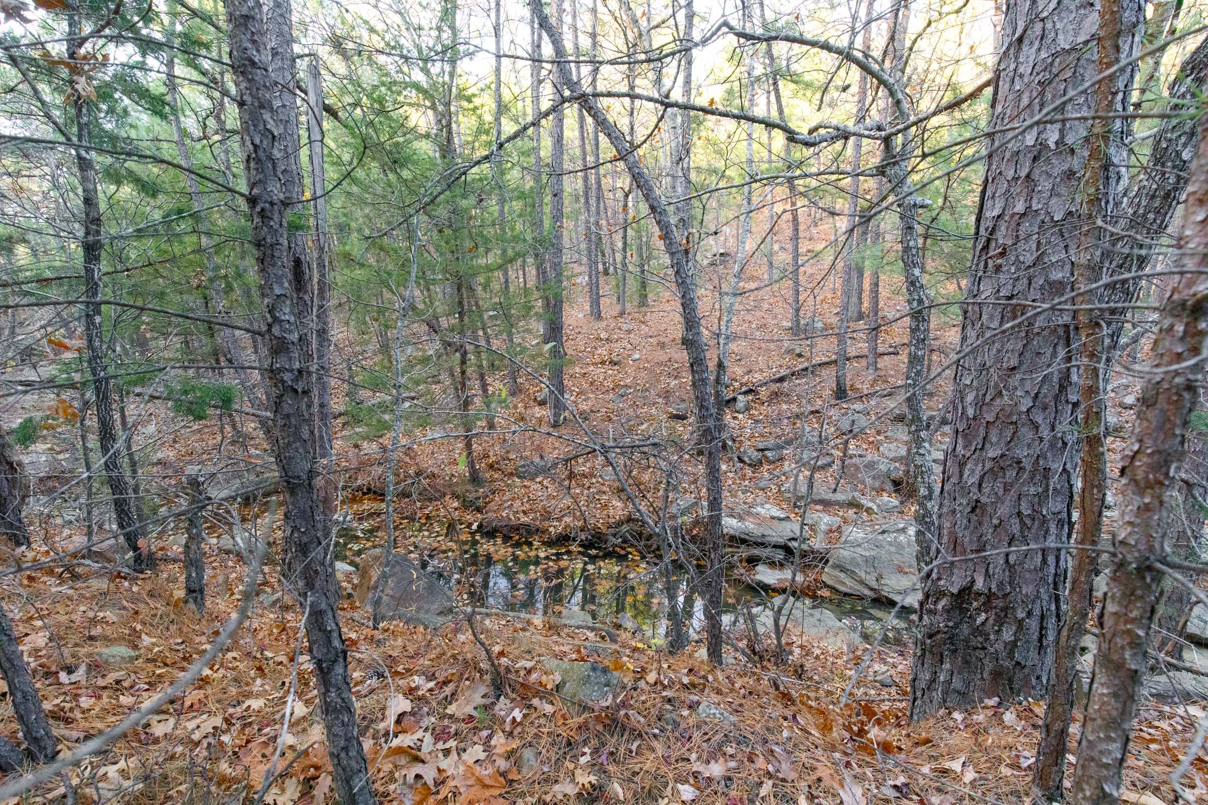 Stone Bridge Phase II Tract 115 photo 2