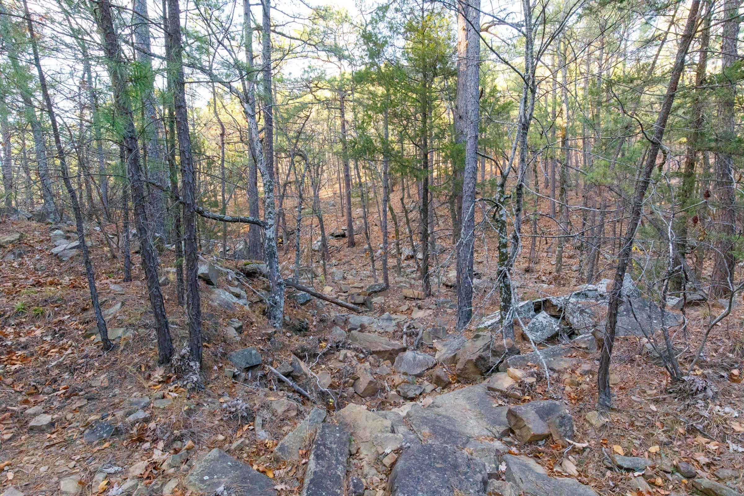 Stone Bridge Phase II Tract 115 photo 11