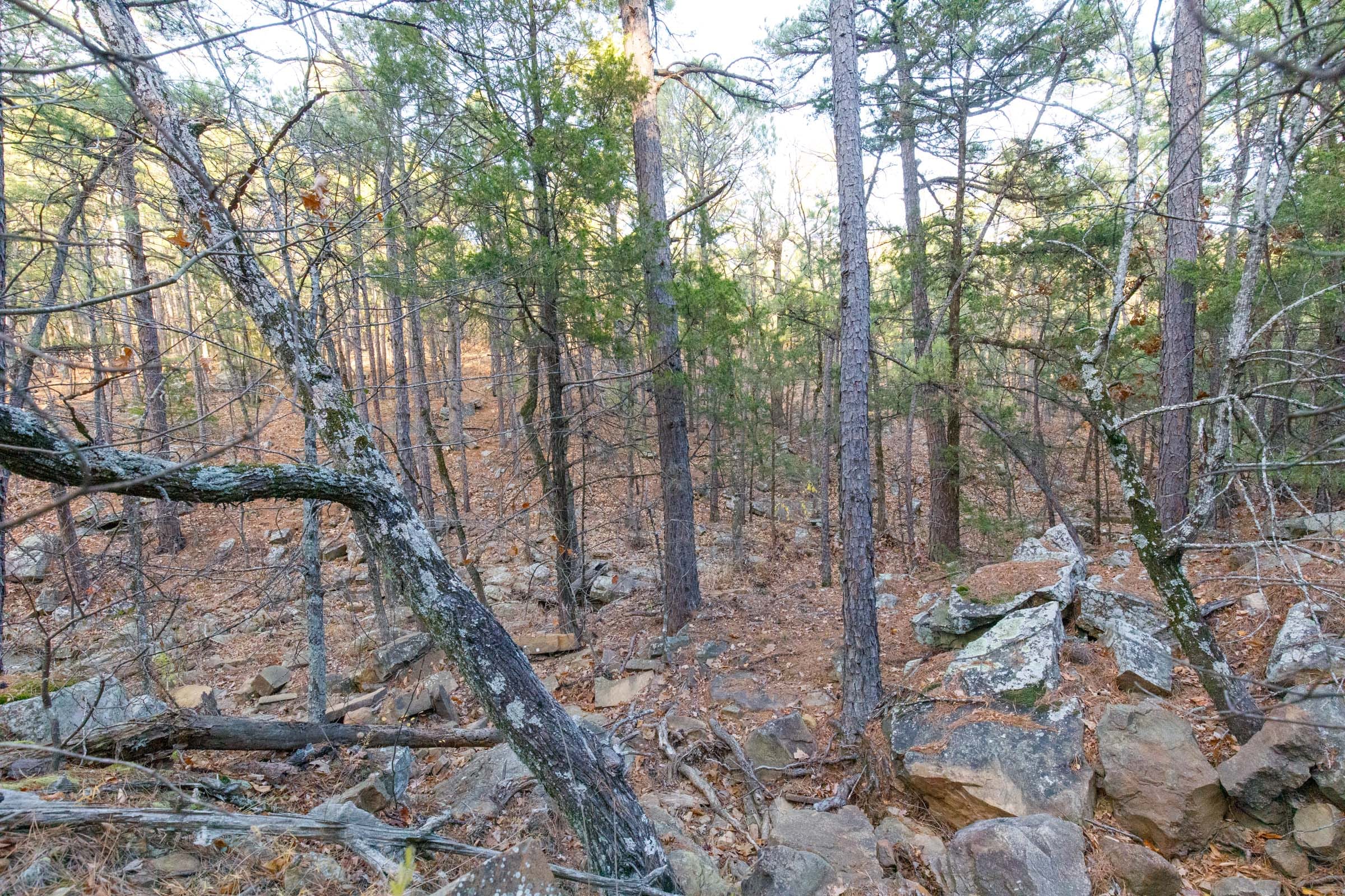 Stone Bridge Phase II Tract 115 photo 12