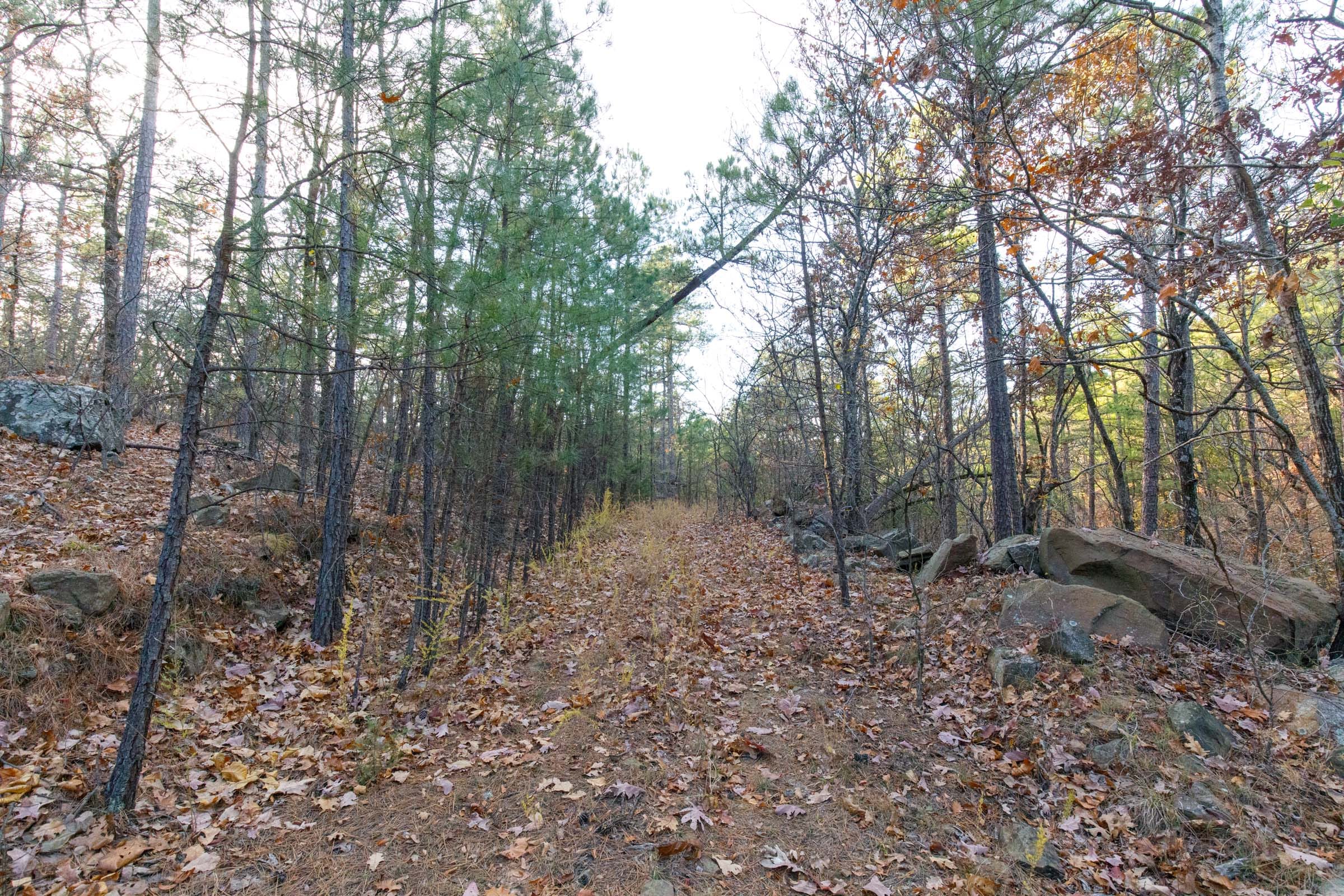 Stone Bridge Phase II Tract 115 photo 13