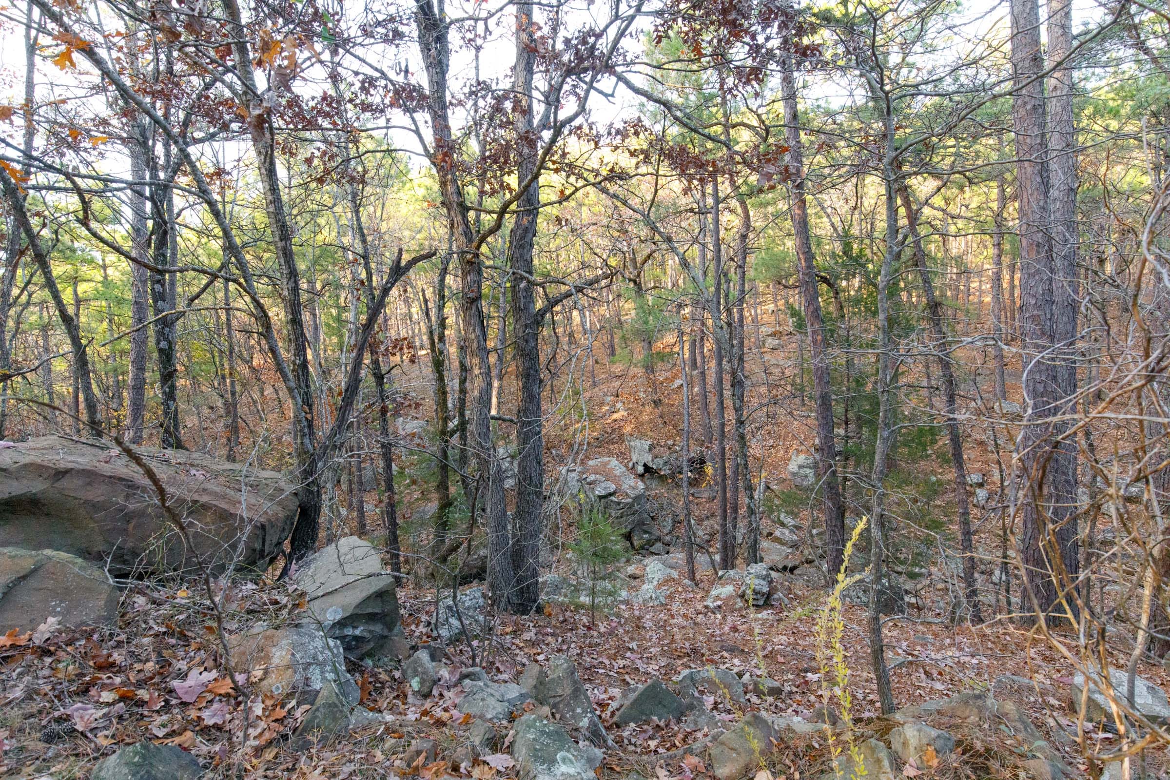 Stone Bridge Phase II Tract 115 photo 14