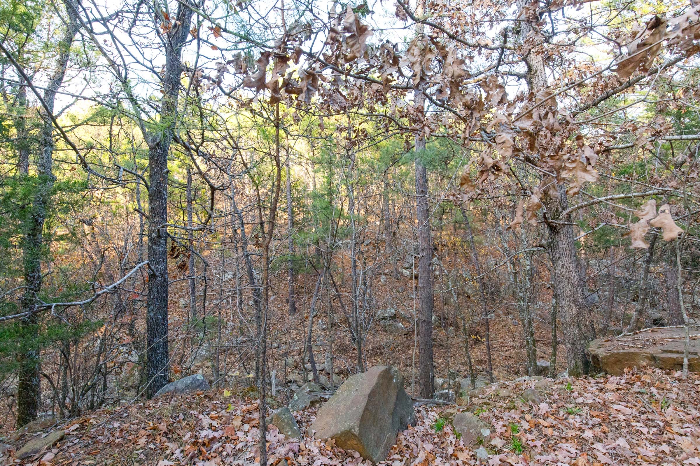 Stone Bridge Phase II Tract 115 photo 15