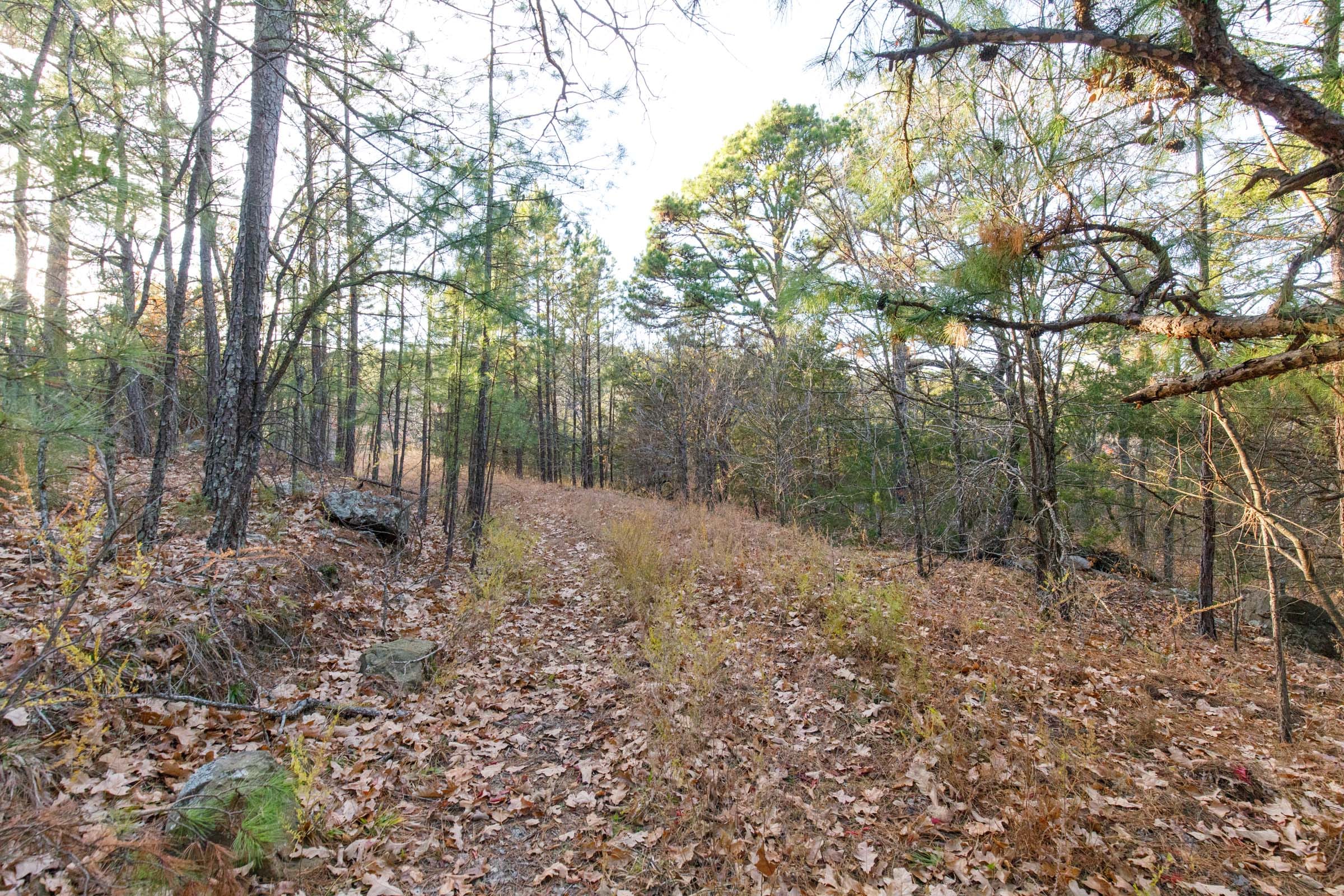 Stone Bridge Phase II Tract 115 photo 17