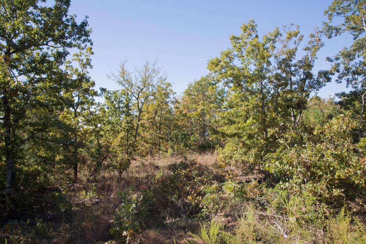 Stone Creek Phase I Tract 179 photo 3