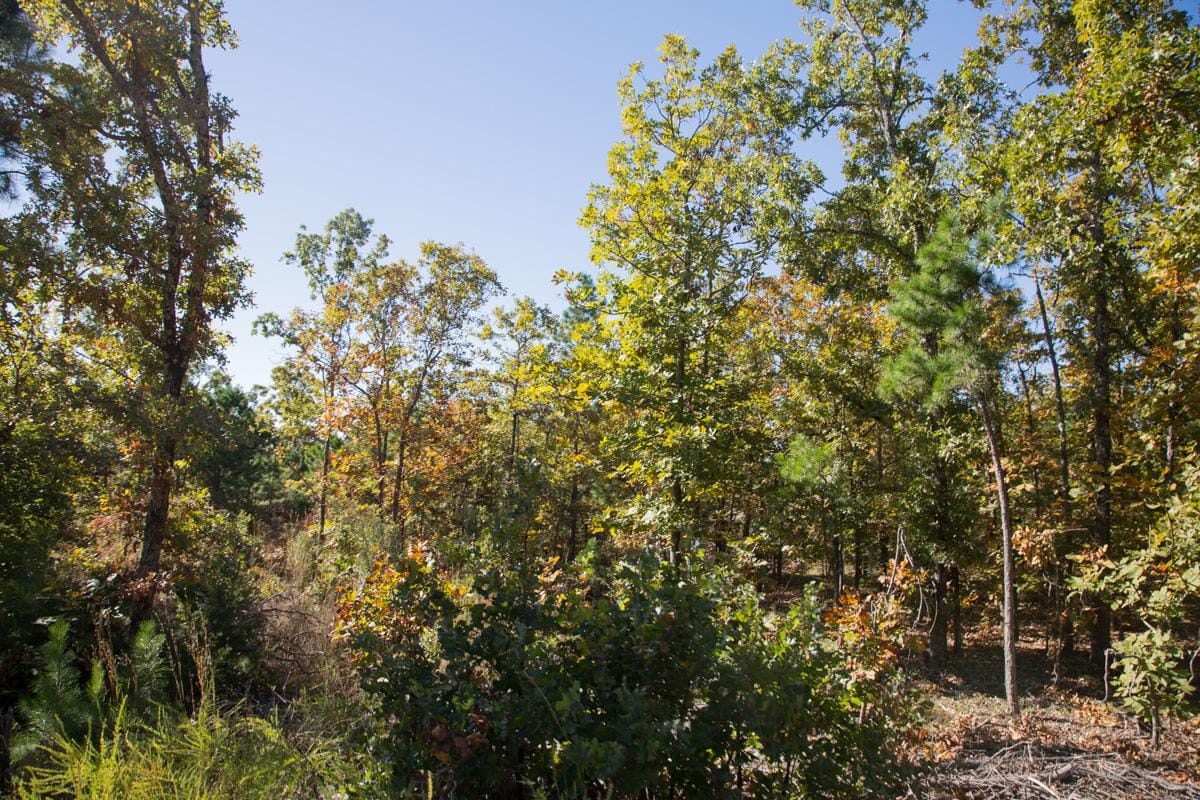 Stone Creek Phase I Tract 179 photo 6