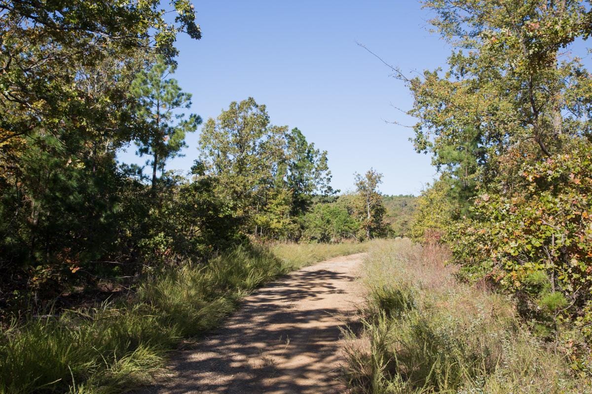 Stone Creek Phase I Tract 179 photo 7