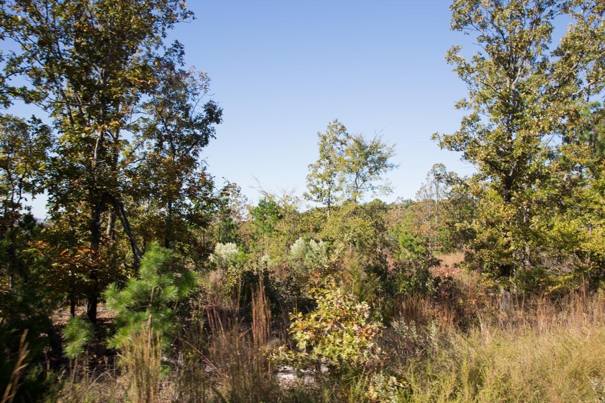 Stone Creek Phase I Tract 179 photo 8