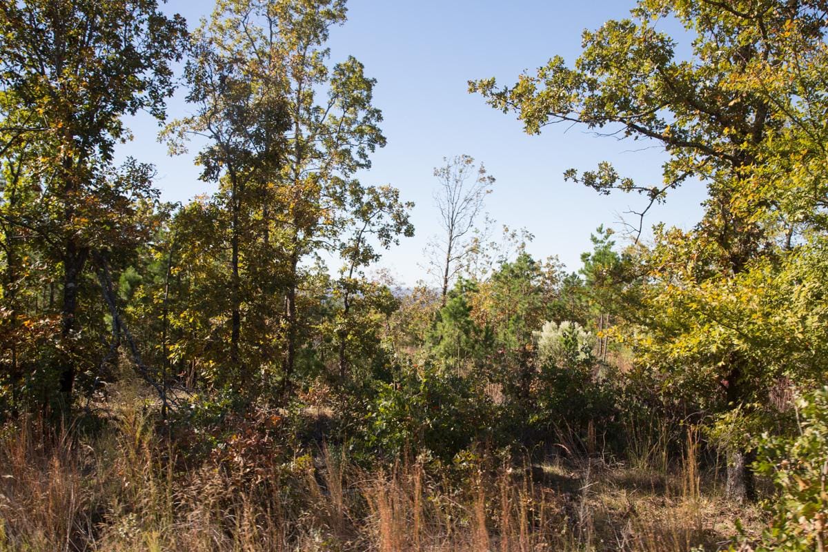 Stone Creek Phase I Tract 179 photo 9
