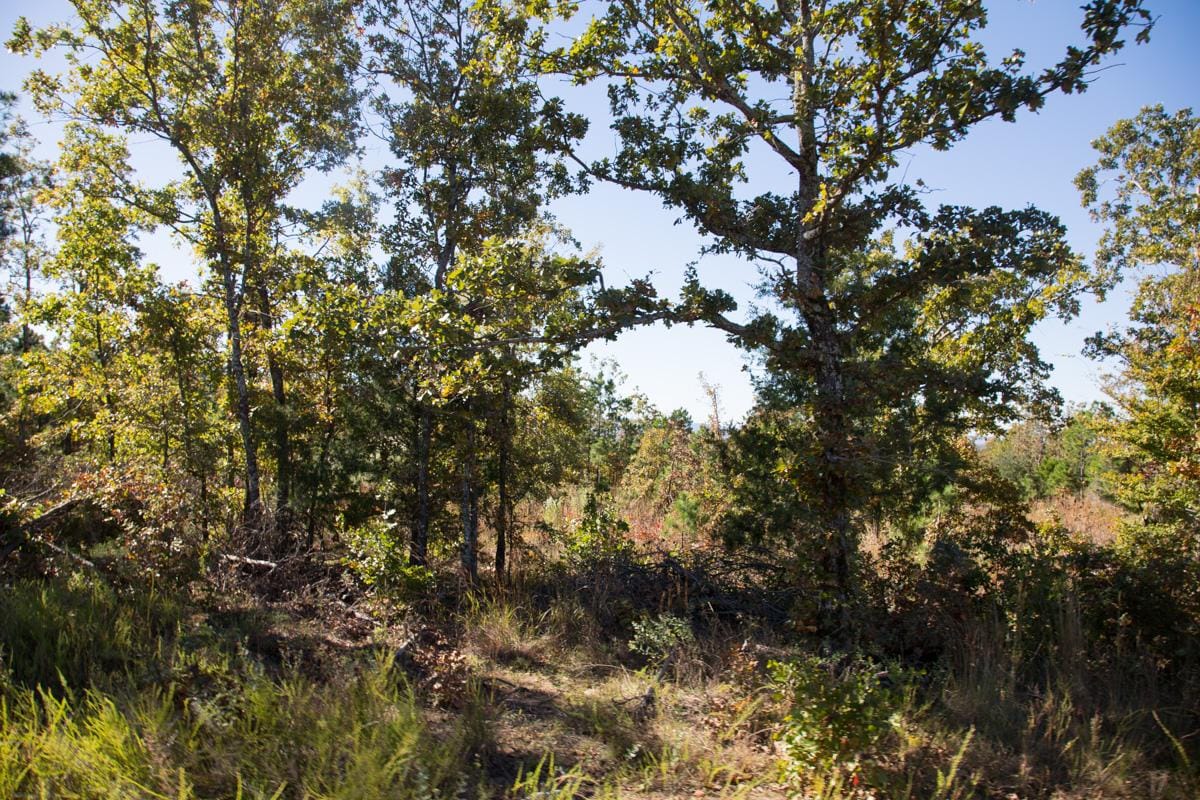 Stone Creek Phase I Tract 179 photo 10