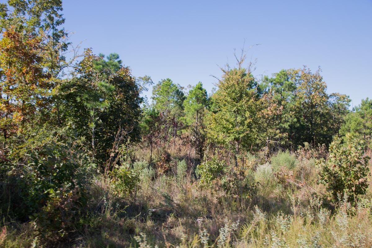 Stone Creek Phase I Tract 179 photo 11